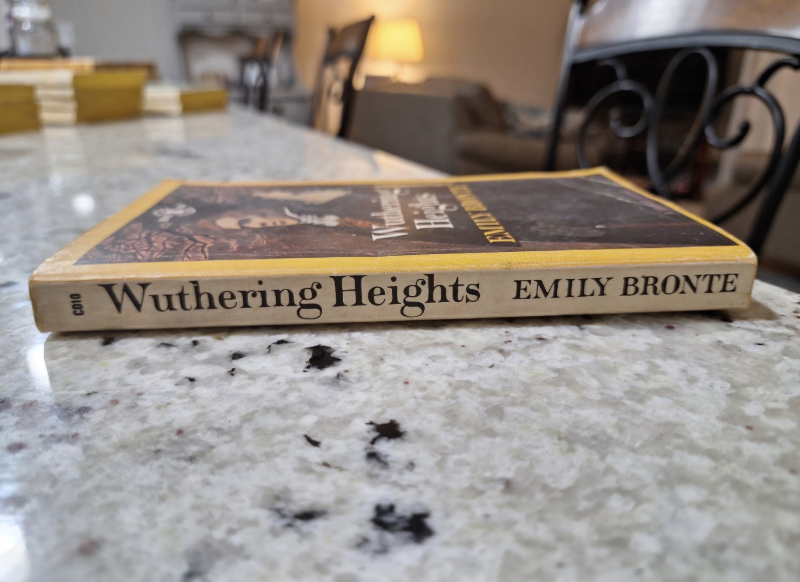 Vintage Books Wuthering Heights PB Emily Bronte Signet Classics 11th printing