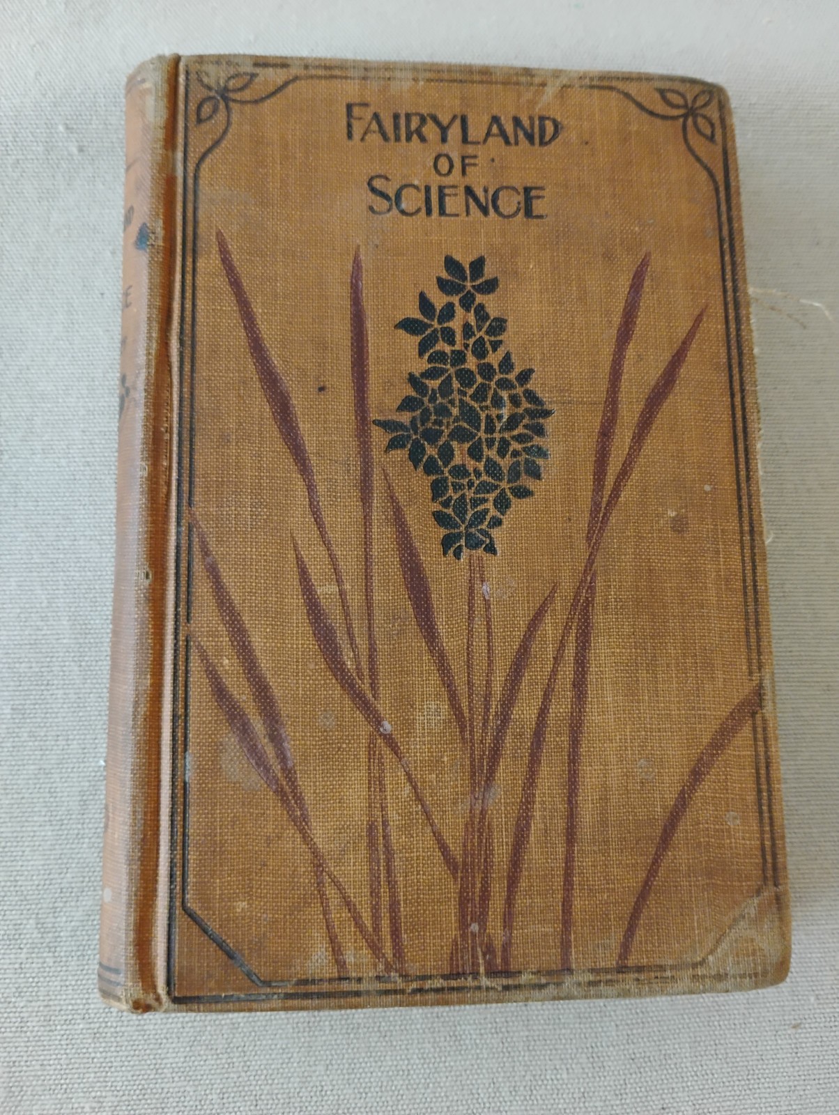 Fairyland of Science Arabella Buckley Antique HC Book. Conkey, Chicago 1901 FAIR