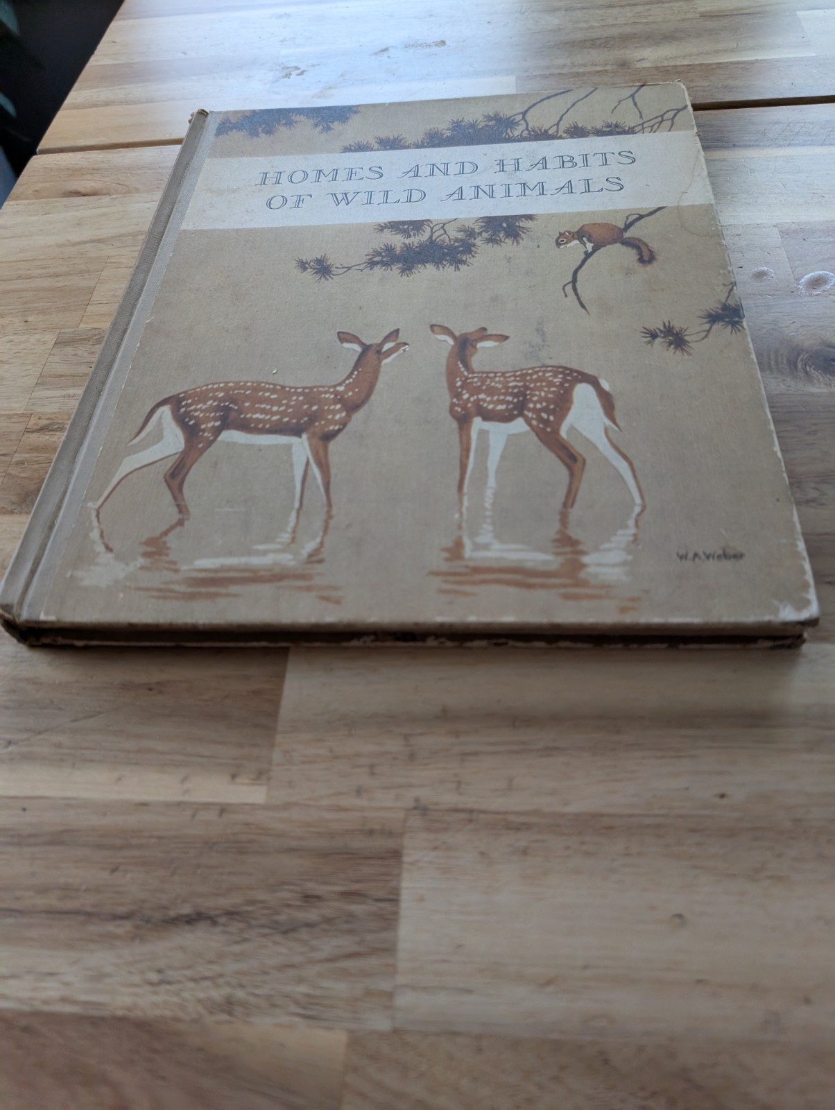 1934 Homes And Habits Of Wild Animals Walter Weber Book Illustrated FULL COLOR