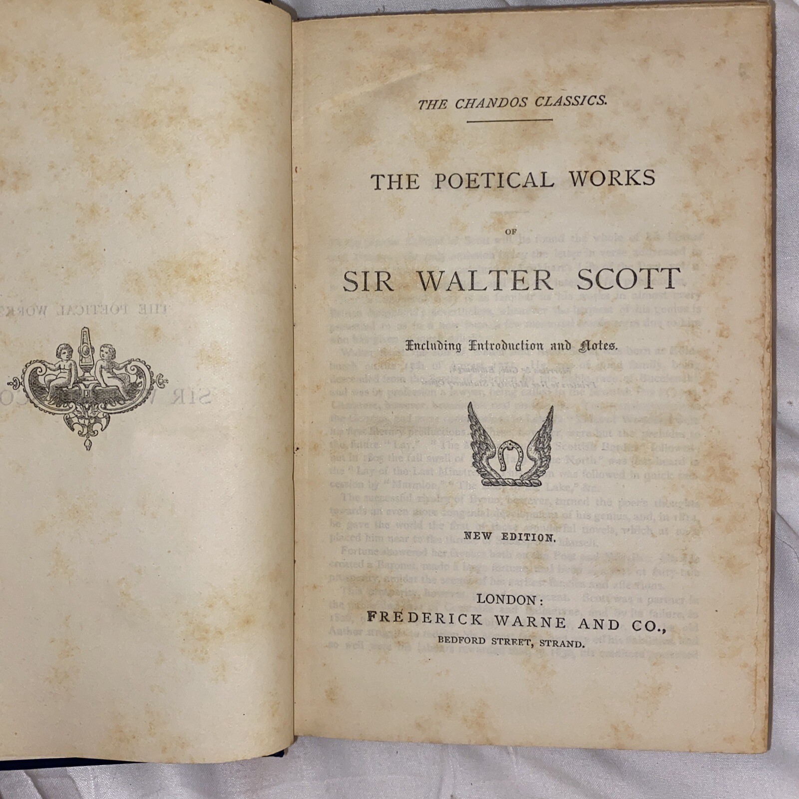 The Poetical Works of Sir Walter Scott Frederick Warne & Co. Ltd Antique Book