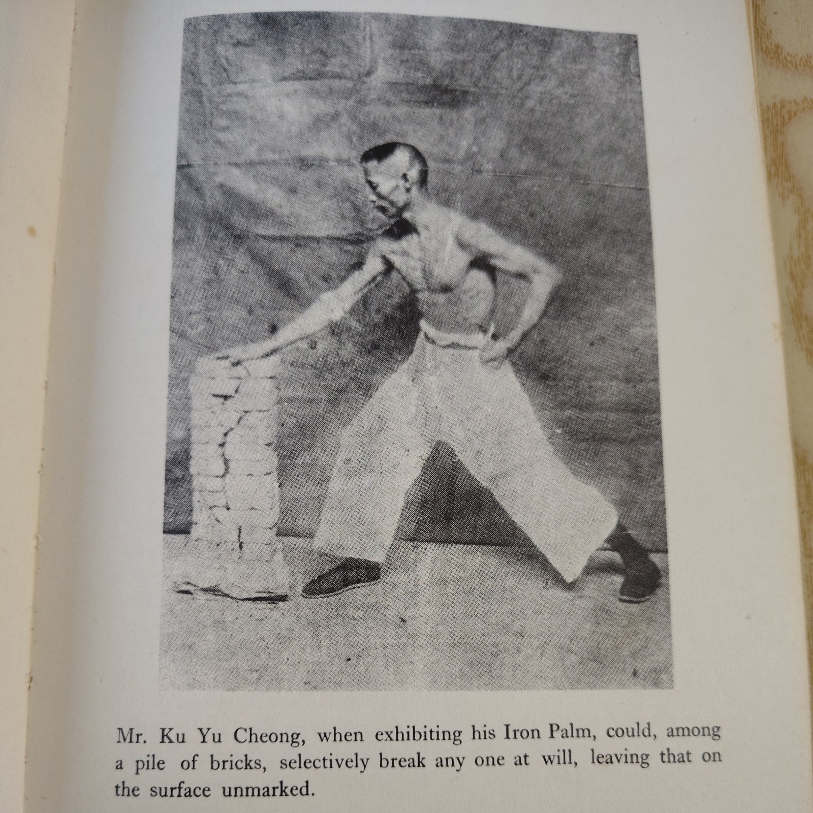 Iron Palm In A 100 Days By: Lee Ying-arng 1973 Edition Hardcover Book Vintage