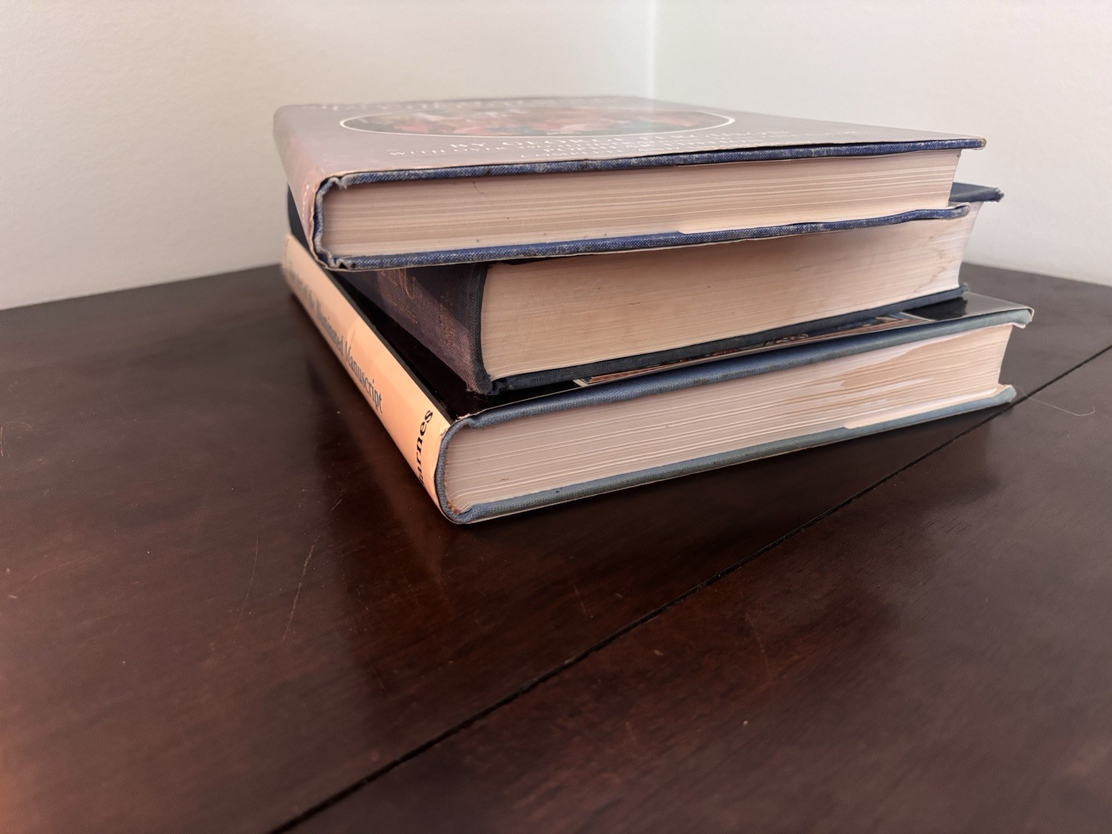 Lot of 3 Vintage Art History Books: Medieval Manuscripts, Northern Renaissance