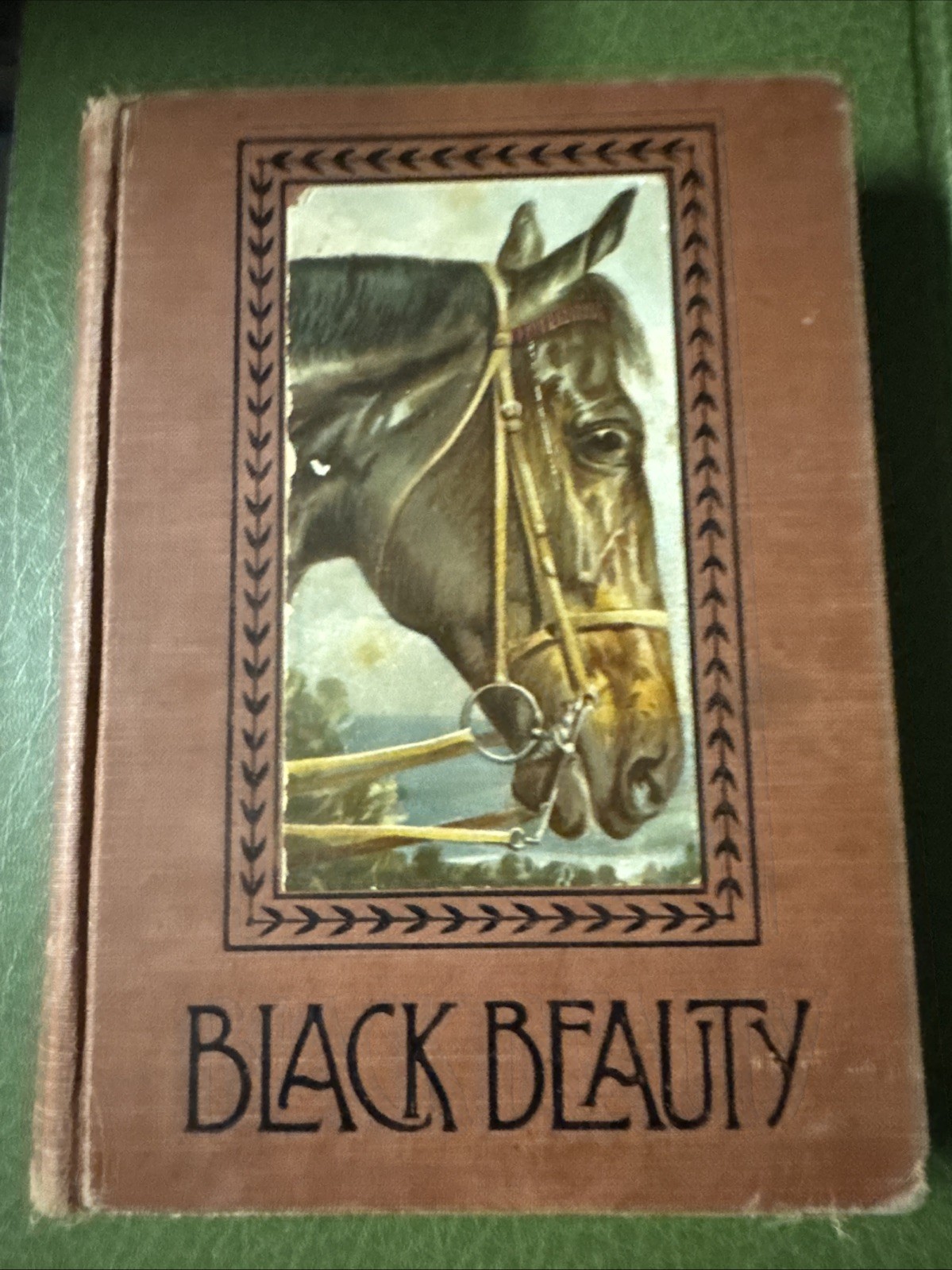 Black Beauty 1894 Rare Anna Sewell vintage H.M. Caldwell Hovendon Pub
