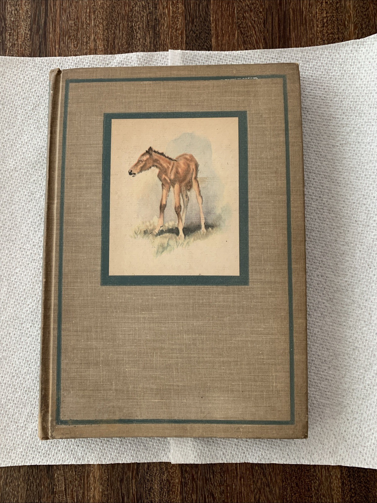 The Red Pony by John Steinbeck 1945 First Illustrated Edition Viking Press HC
