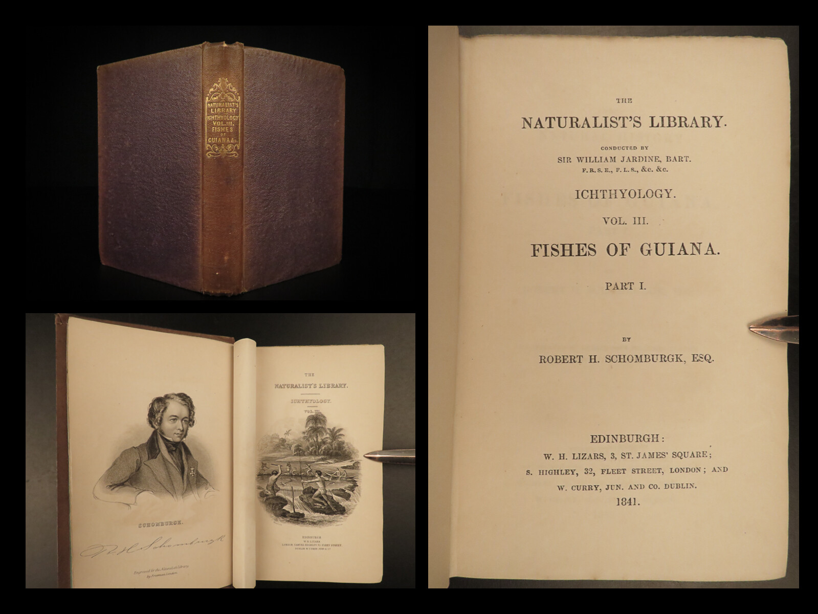 1841 Jardine Naturalist FISH Piranha Salmon Carp Dorsa Ichthyology Africa Guiana