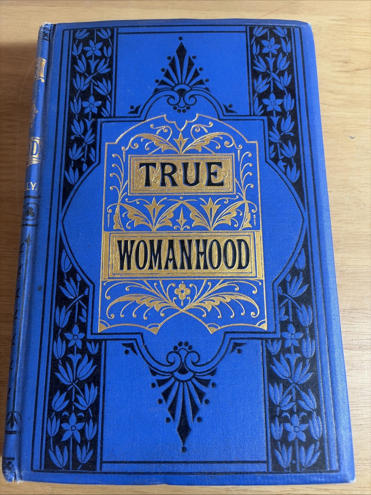 The Mirror of True Womanhood Rev Bernard O’Reilly 1894 P.J. Kenedy HC VG