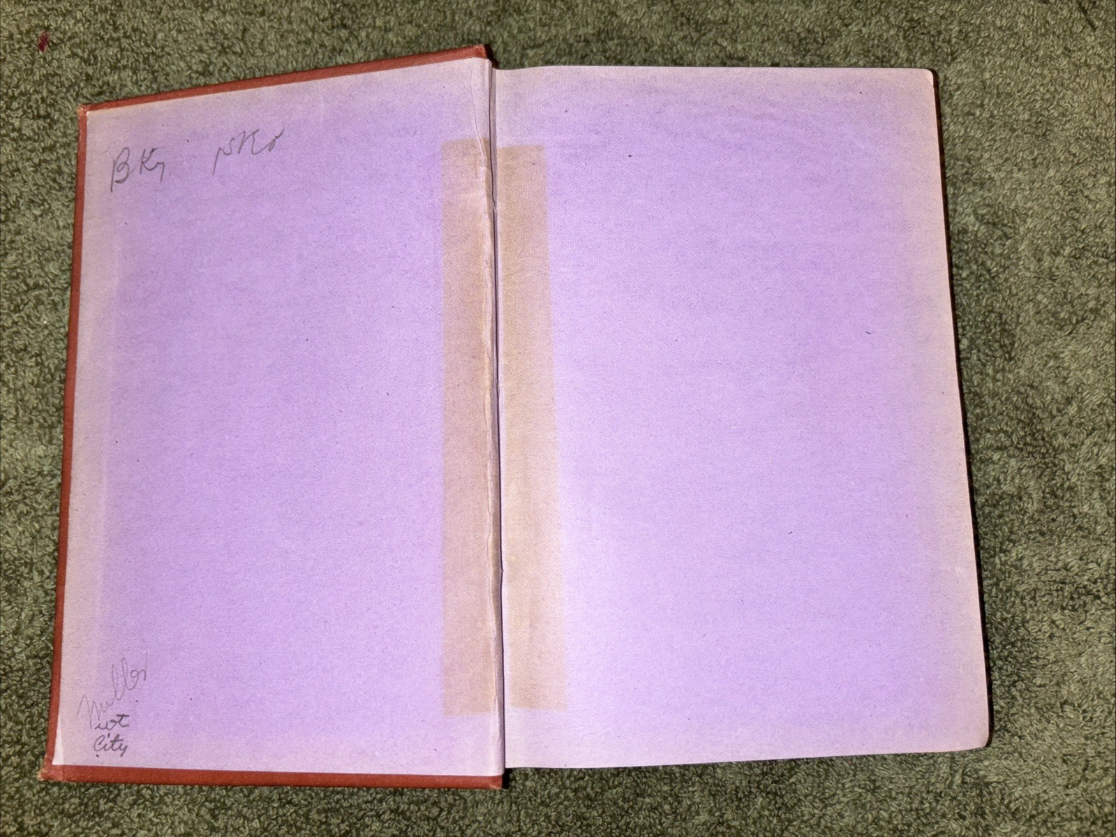 Antique 1877 Book: The Baroness of New York by Joaquin Miller