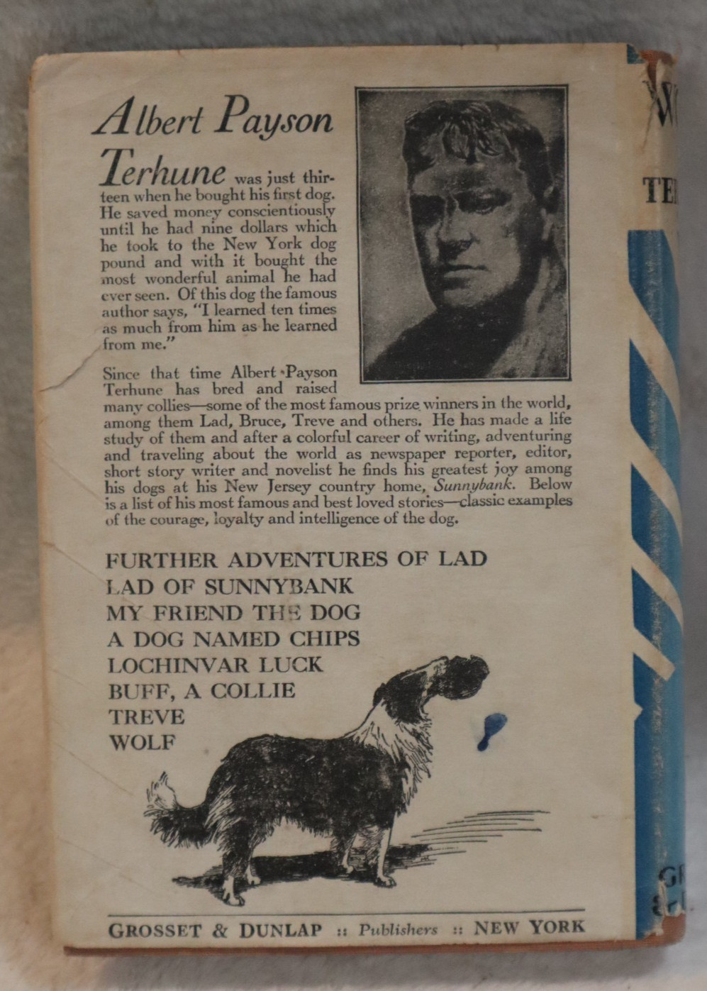Wolf by Albert Payson Terhune hardcover dust jacket 1925 George H. Doran Company