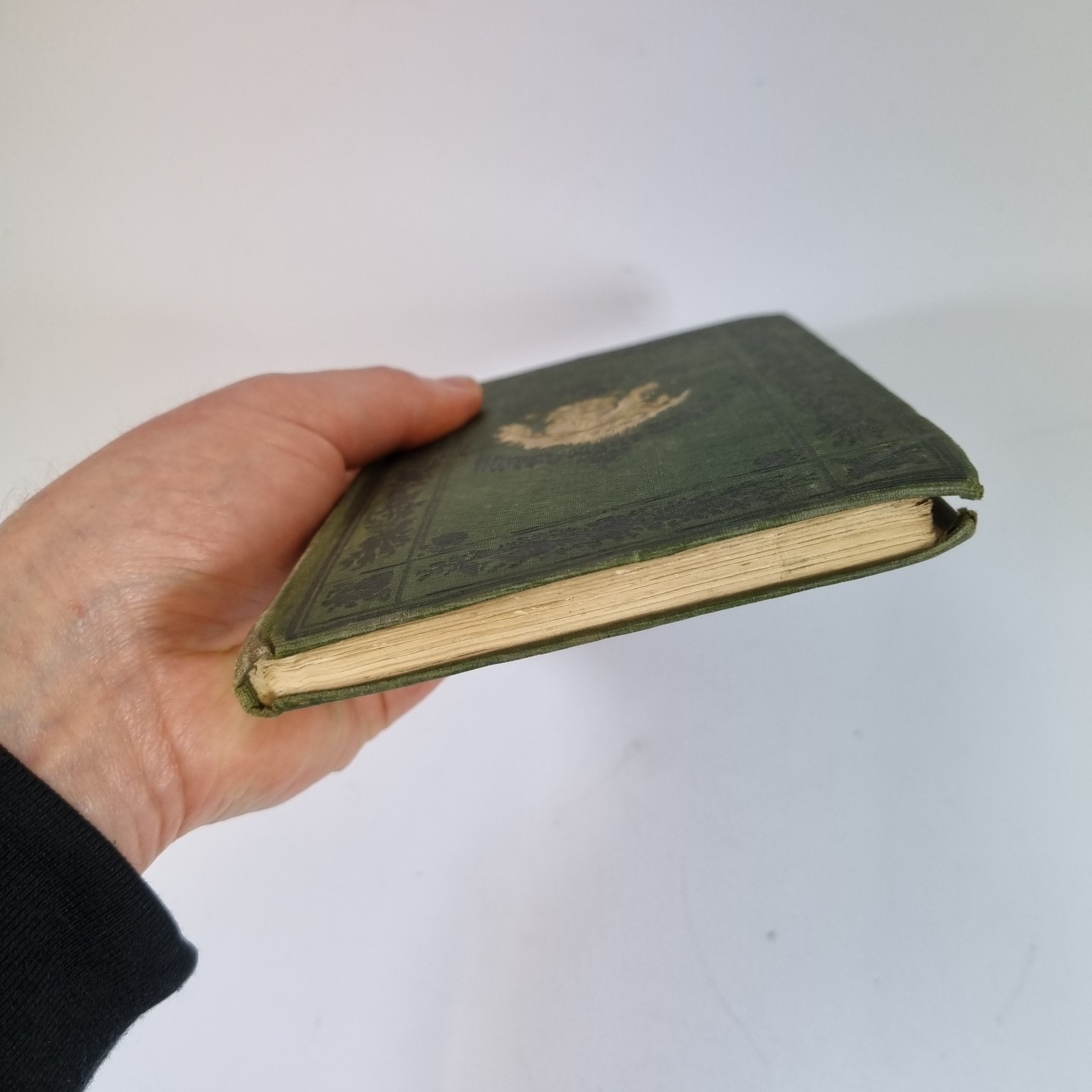 Glaucus: Or The Wonders Of The Shore By Charles Kingsley 1855 Macmillan & Co.