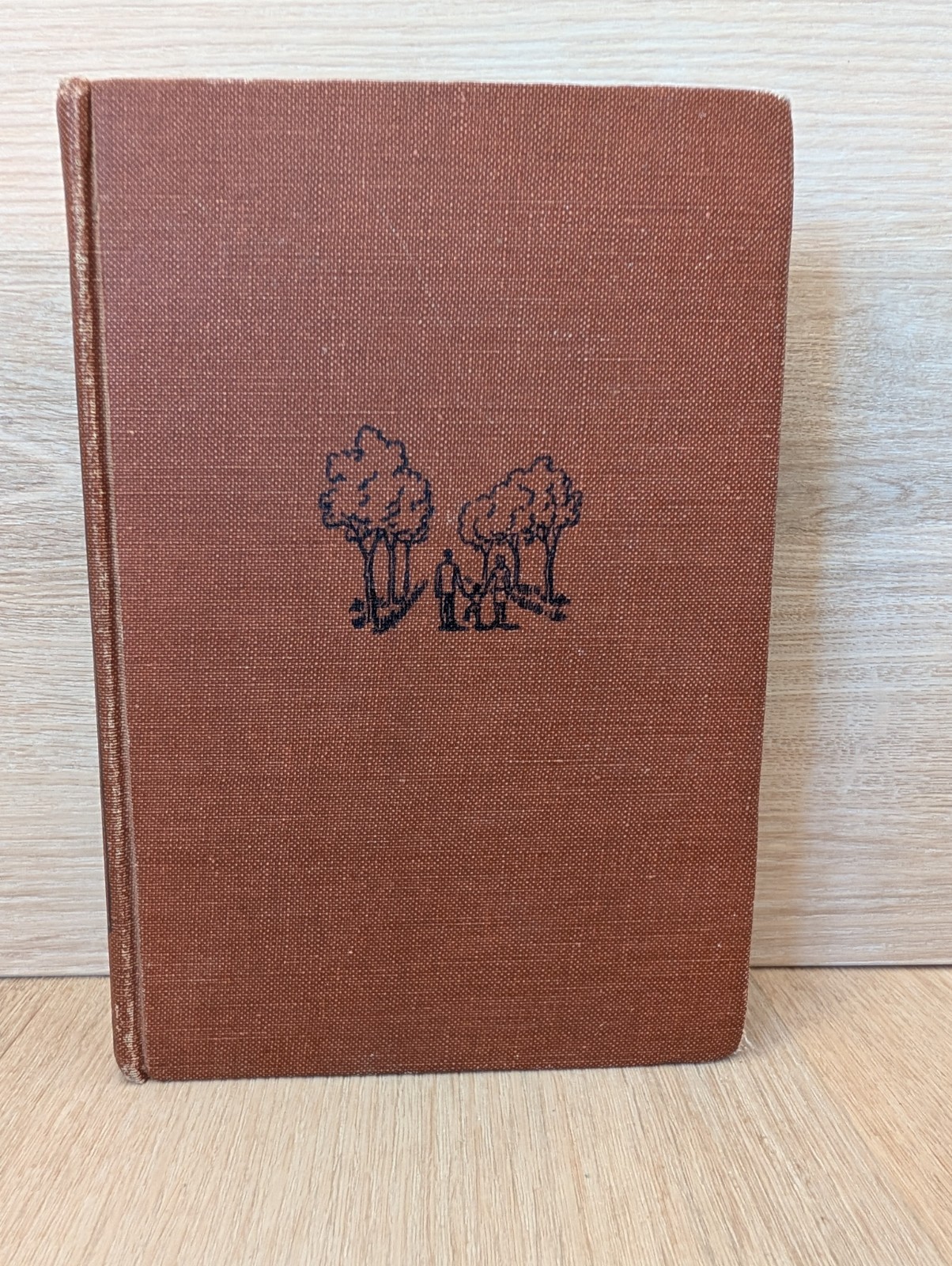 The Bright Promise By Richard Sherman 1947 Little, Brown HC Boston Antique Book