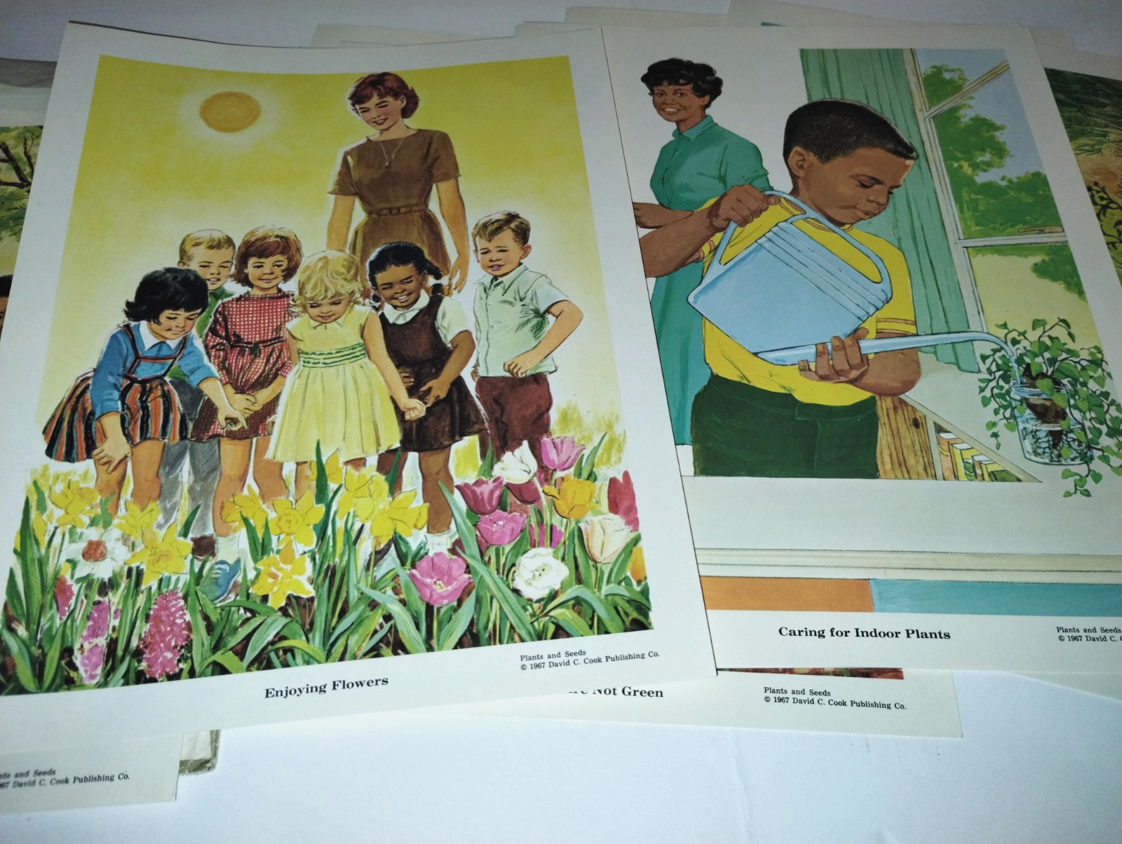Vtg Preschool Elementary Education Teaching Pictures Plants & Seeds ’67 COMPLETE