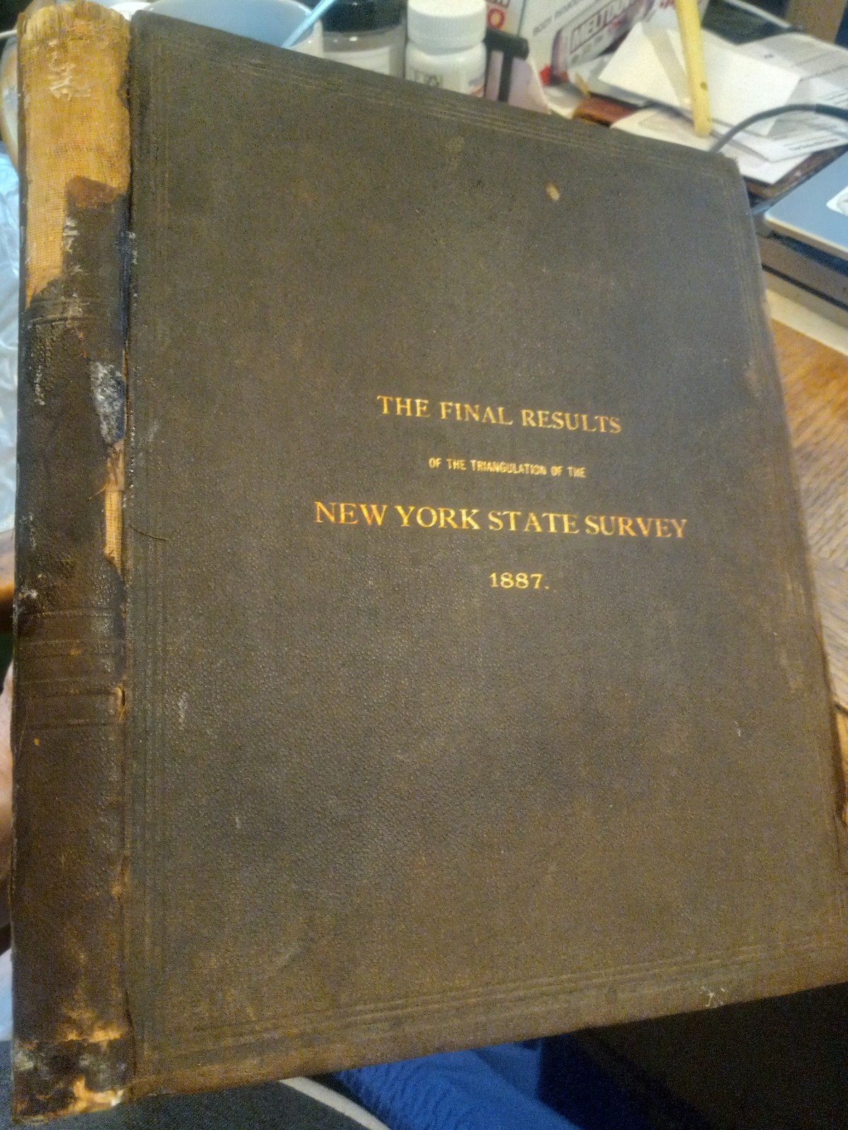1887 FINAL RESULTS OF THE NEW YORK STATE SURVEY, W/7 FOLDOUT MAPS & PICS & MAPS!