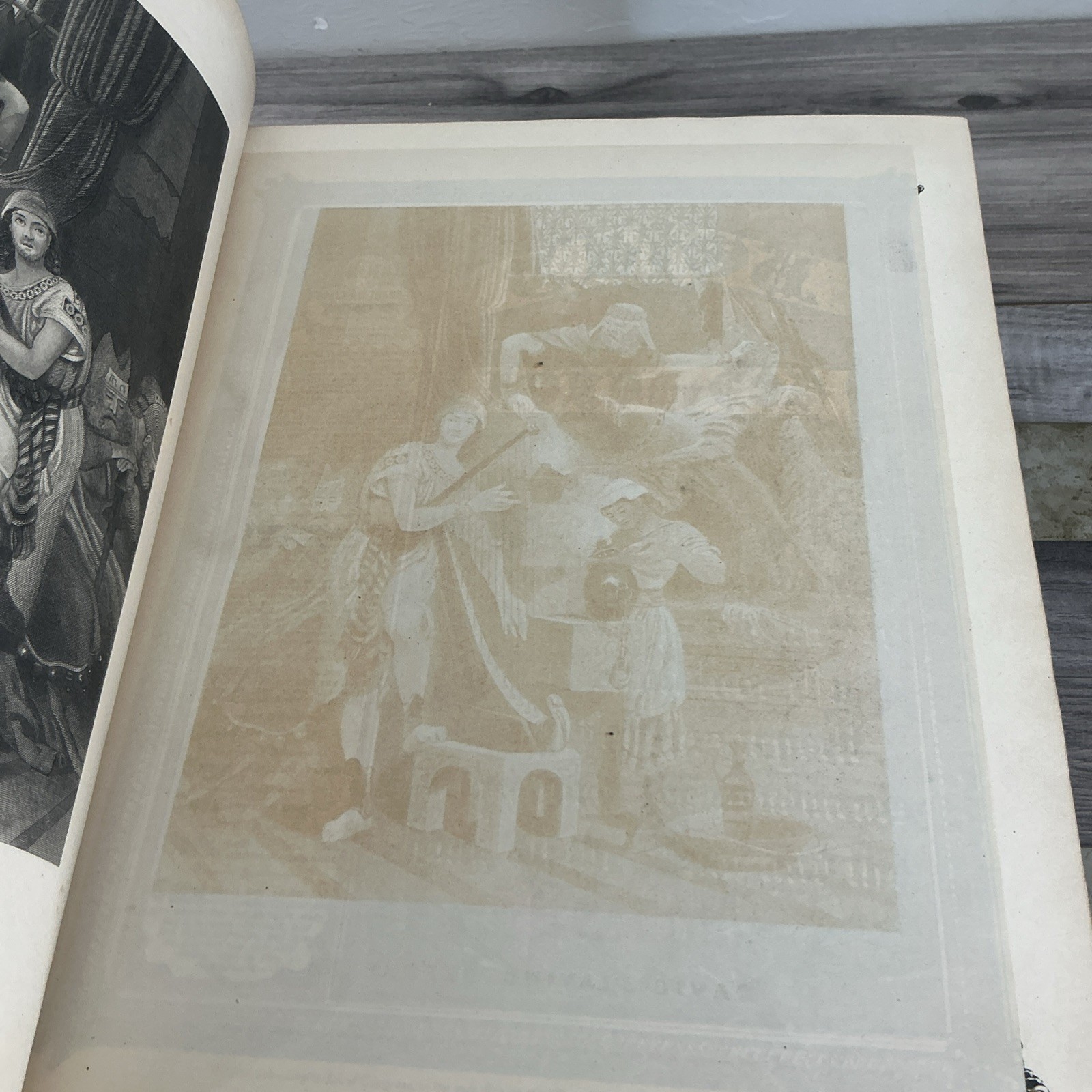 The Parallel Bible Old & New Testaments 2000 Illustrations 1885