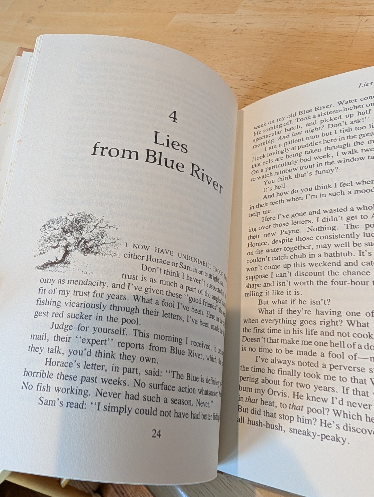 Fishing Widows by Nick Lyons first edition HB