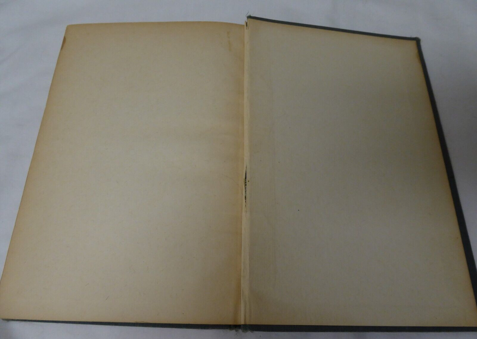 THE WORKS OF FRANCOIS RABELAIS – BOOK II – GIBBINGS & COMPANY LIMITED