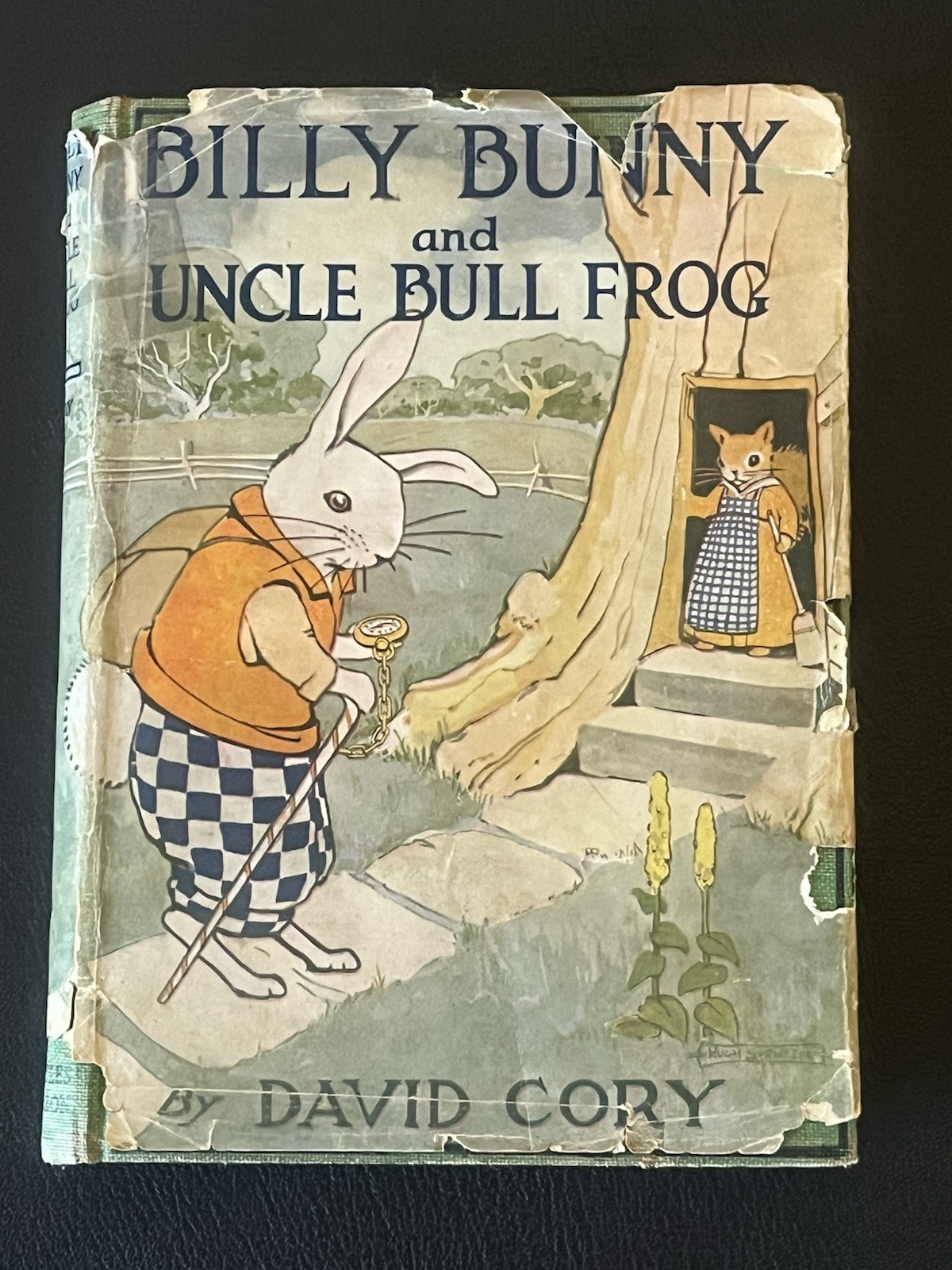 Billy Bunny and Uncle Bull Frog by David Cory 1920 HB/DJ RARE vintage book