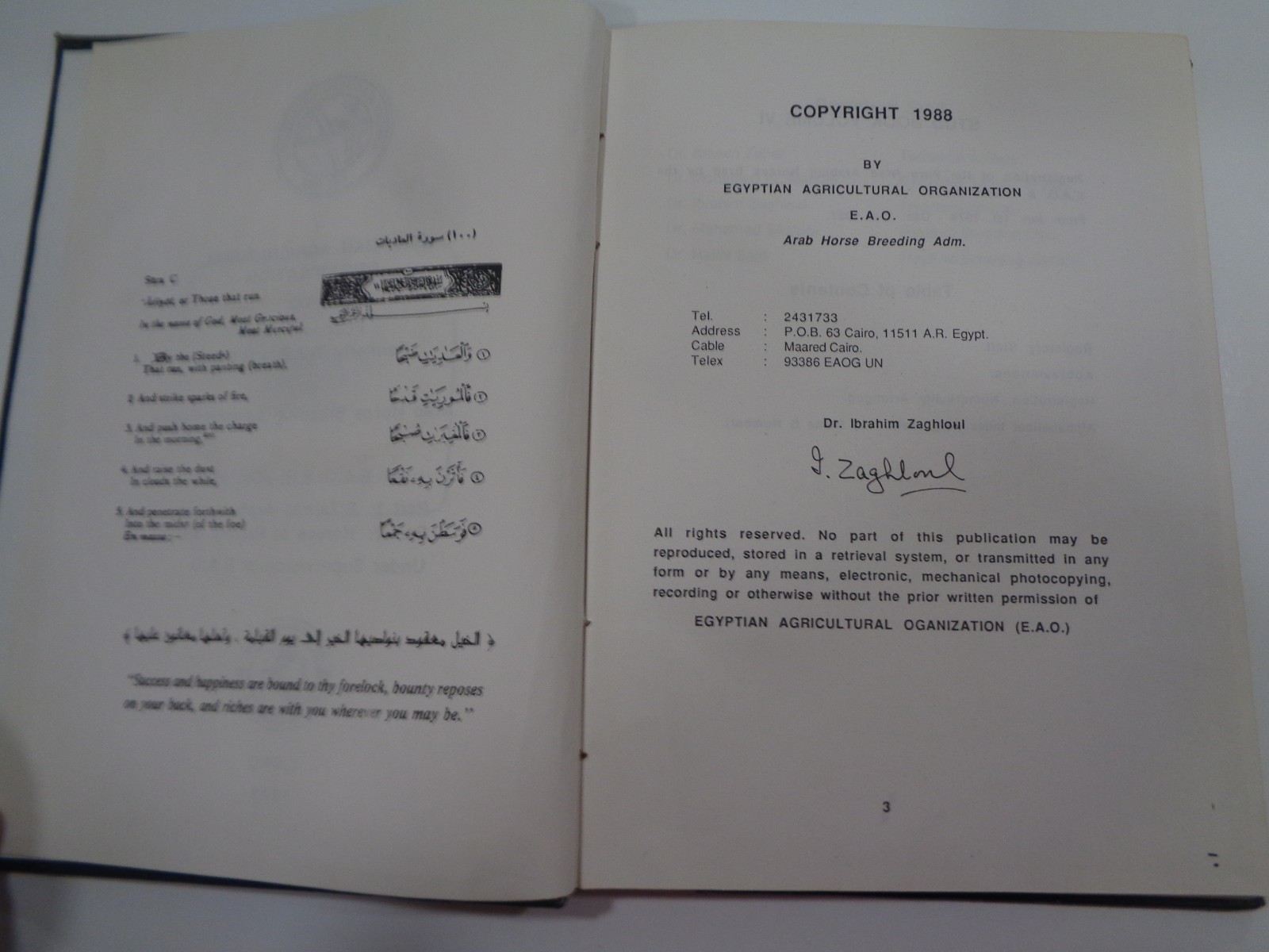 Arabian Horse Stud History Egyptian Agricultural Organisation Vol. V1 1989