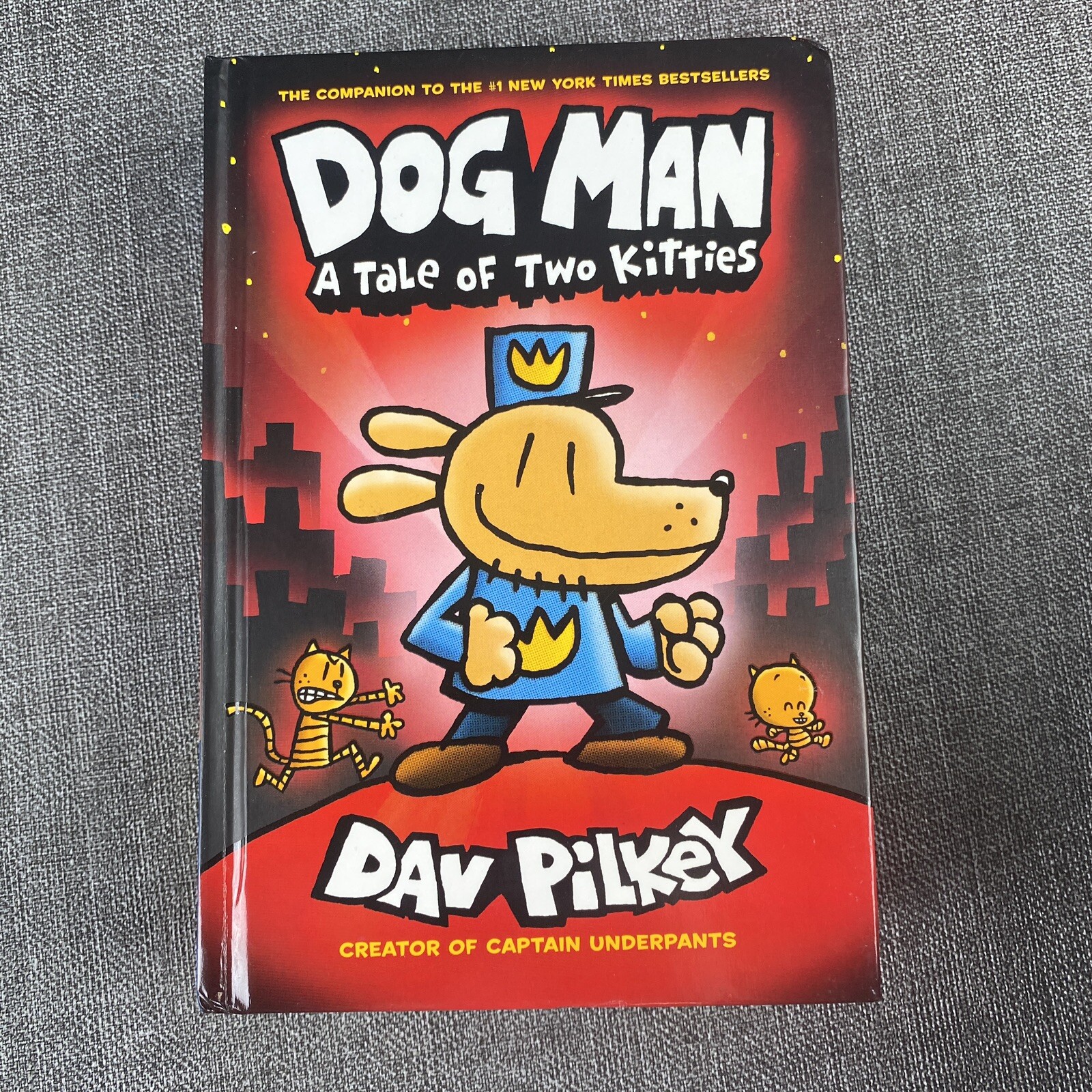 Lot Of 13 Assorted Children’s Books Teens and Young Adults, Dog Man, Just Jake..