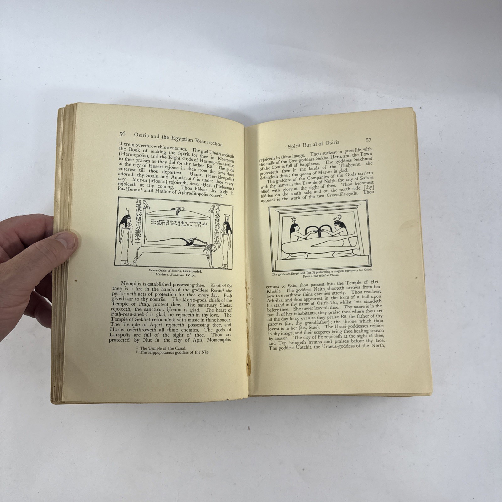 1911 Osiris Egyptian Resurrection E.A. Wallis Budge 2 Vol Occult Set w/ Fold Out