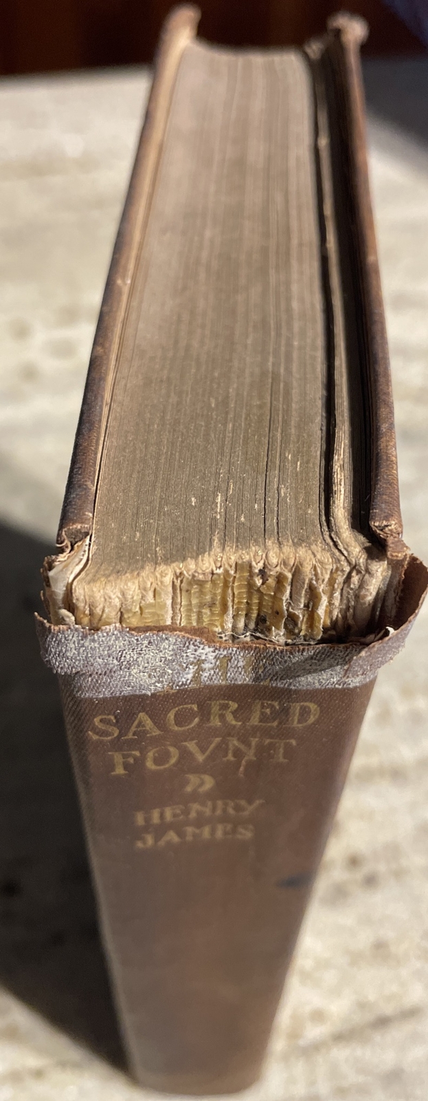 The Sacred Fount By Henry James 1st Edition 1901 (Charles Scribner’s Son’s) HC