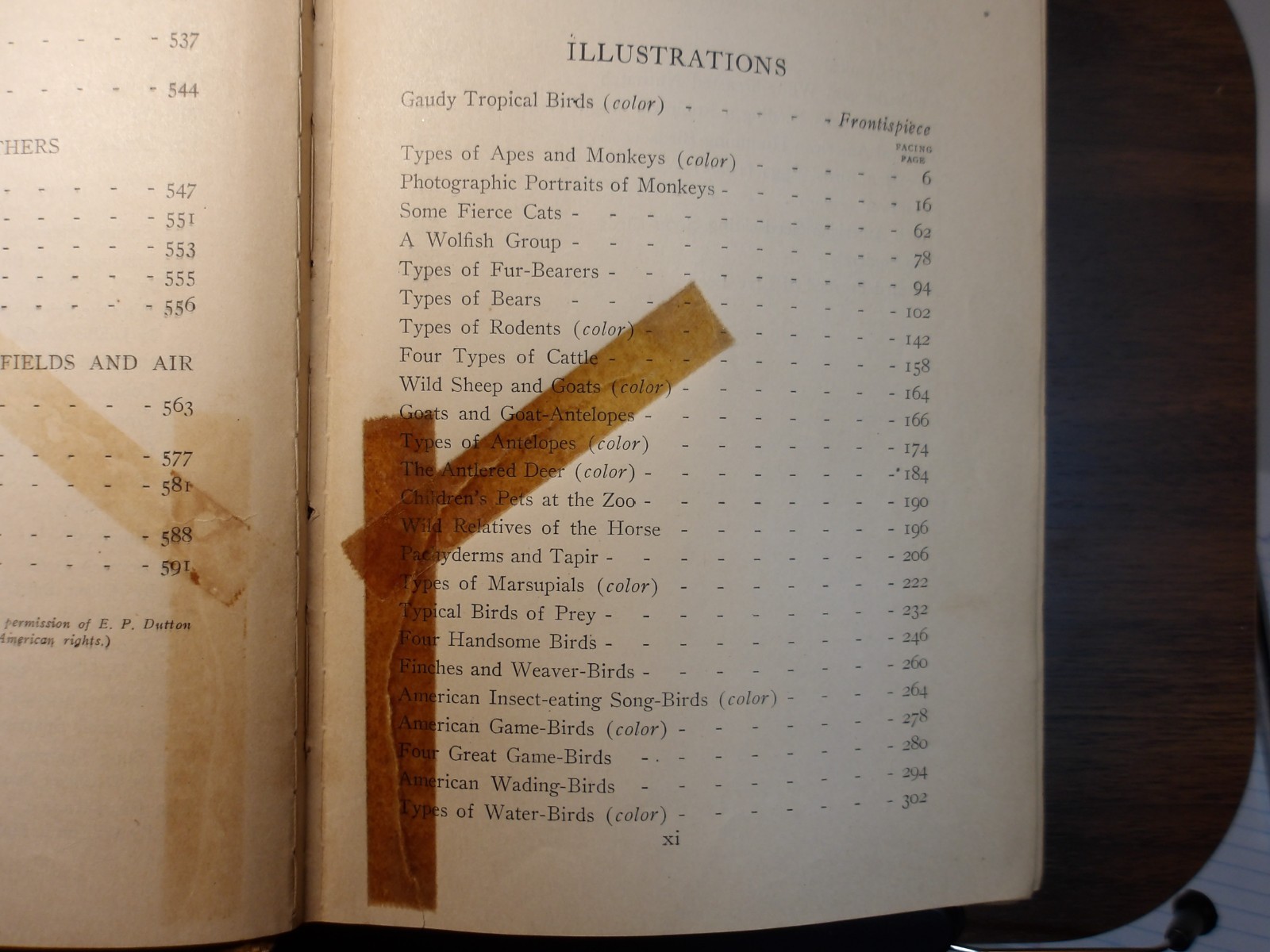 Young Folks’ Treasury 1919 Complete 12 Vol Set Illustrated University Society