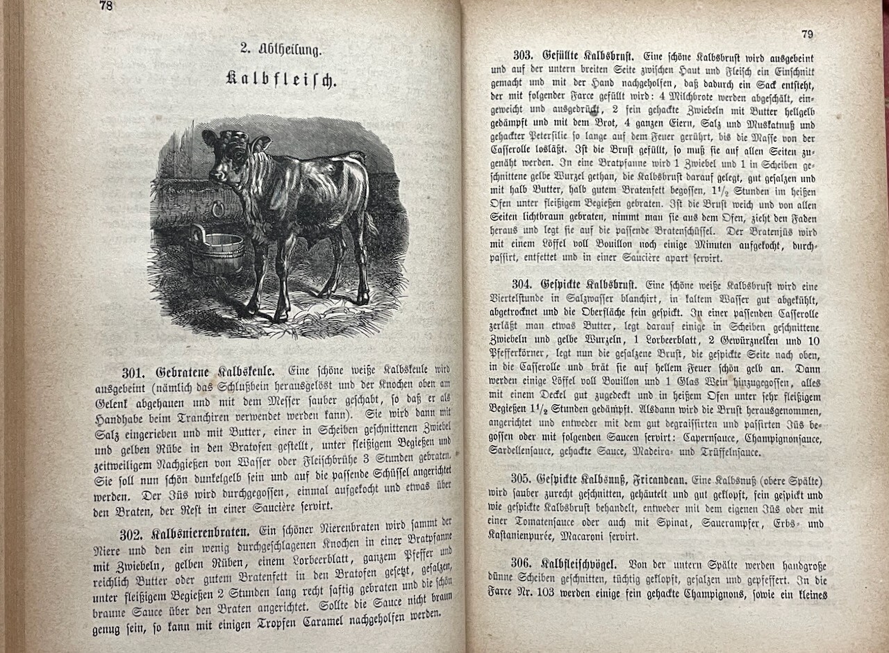 Neues Illustrirtes Schweizer Kochbuch [New Illustrated Swiss Cookbook] 1876