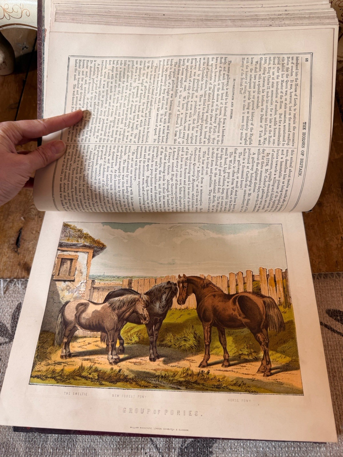 Antique Equestrian Reference Book Modern Practical Farriery Victorian Leather