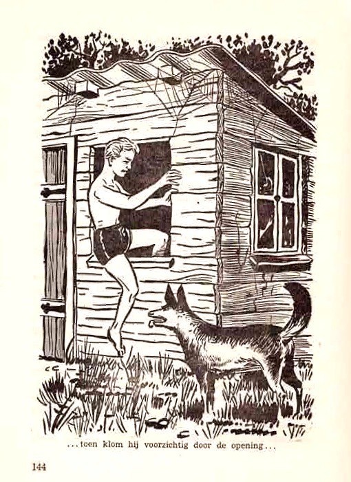 De Zwerftocht Van De Ijsvogel by Piet Prins Vtg Hardcover, Dutch Language