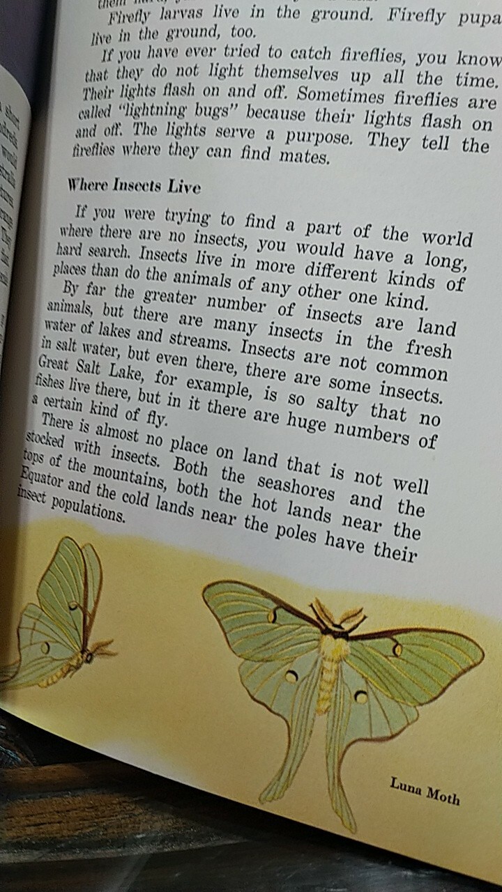 „INSECTS AND THEIR WAYS“. 1940s Basic Science Education Series children’s book.