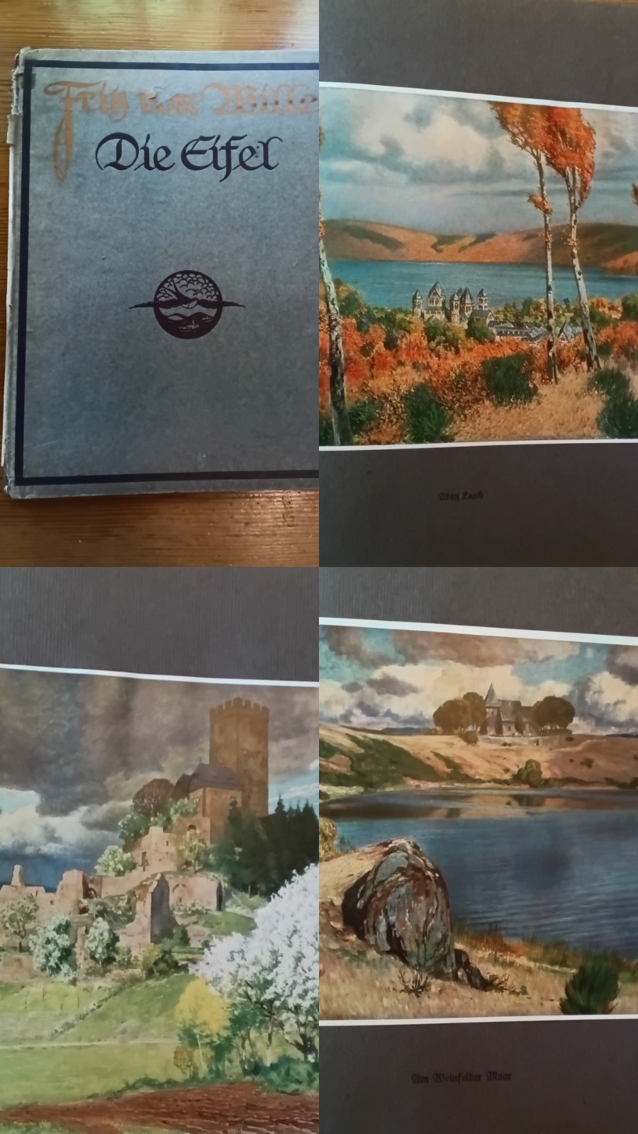 Fritz Von Wille Art Prints Die Eifel Germany 1914 Hardback 20 Color Prints