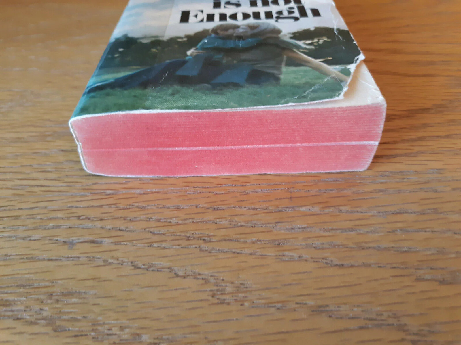 Love Is Not Enough – Bruno Bettelheim (1971, Paperback) Avon