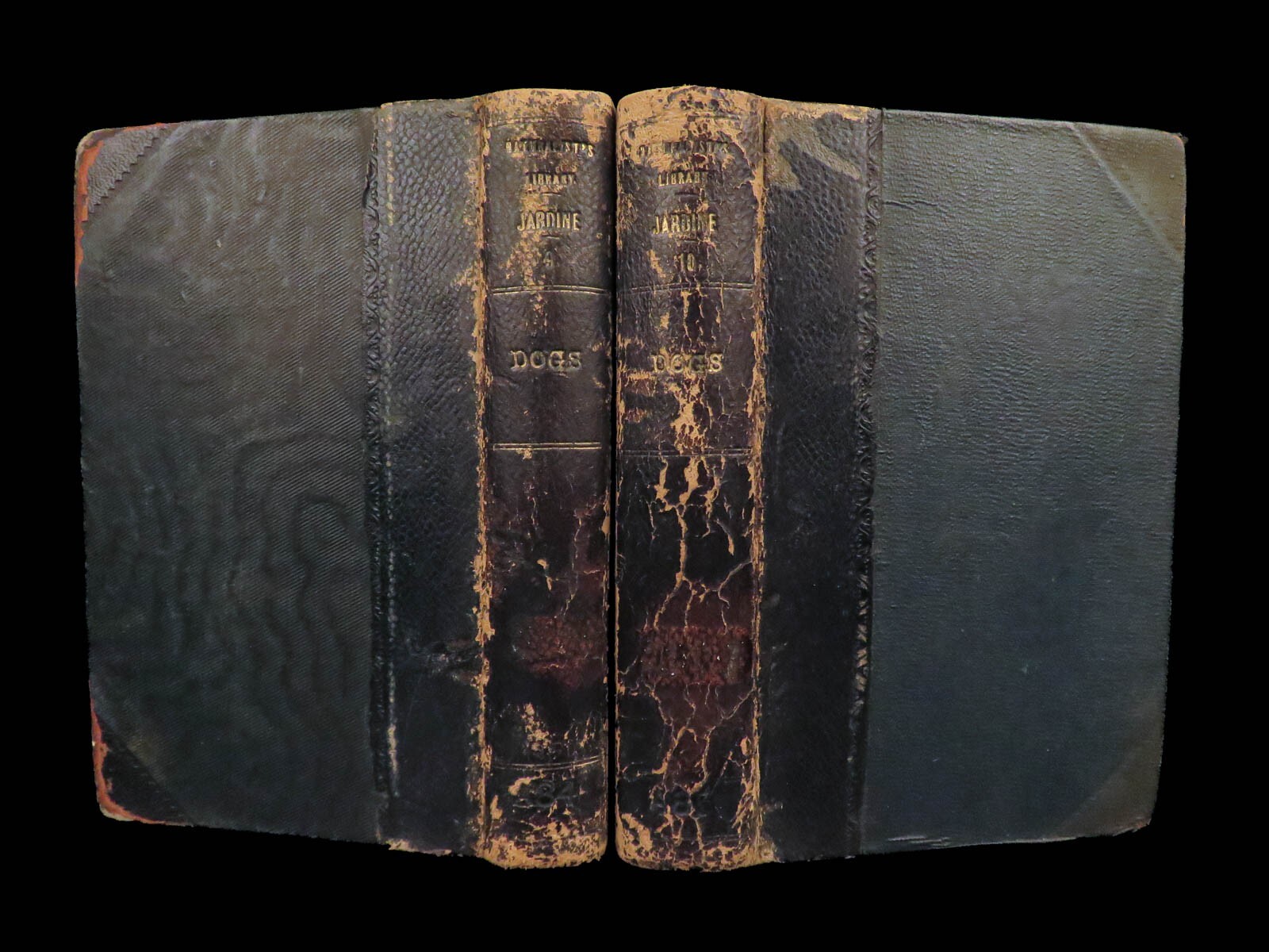 1839 DOGS & Wolves 1ed Huskies Hyenas FOX Jardine Naturalist Illustrated Canines