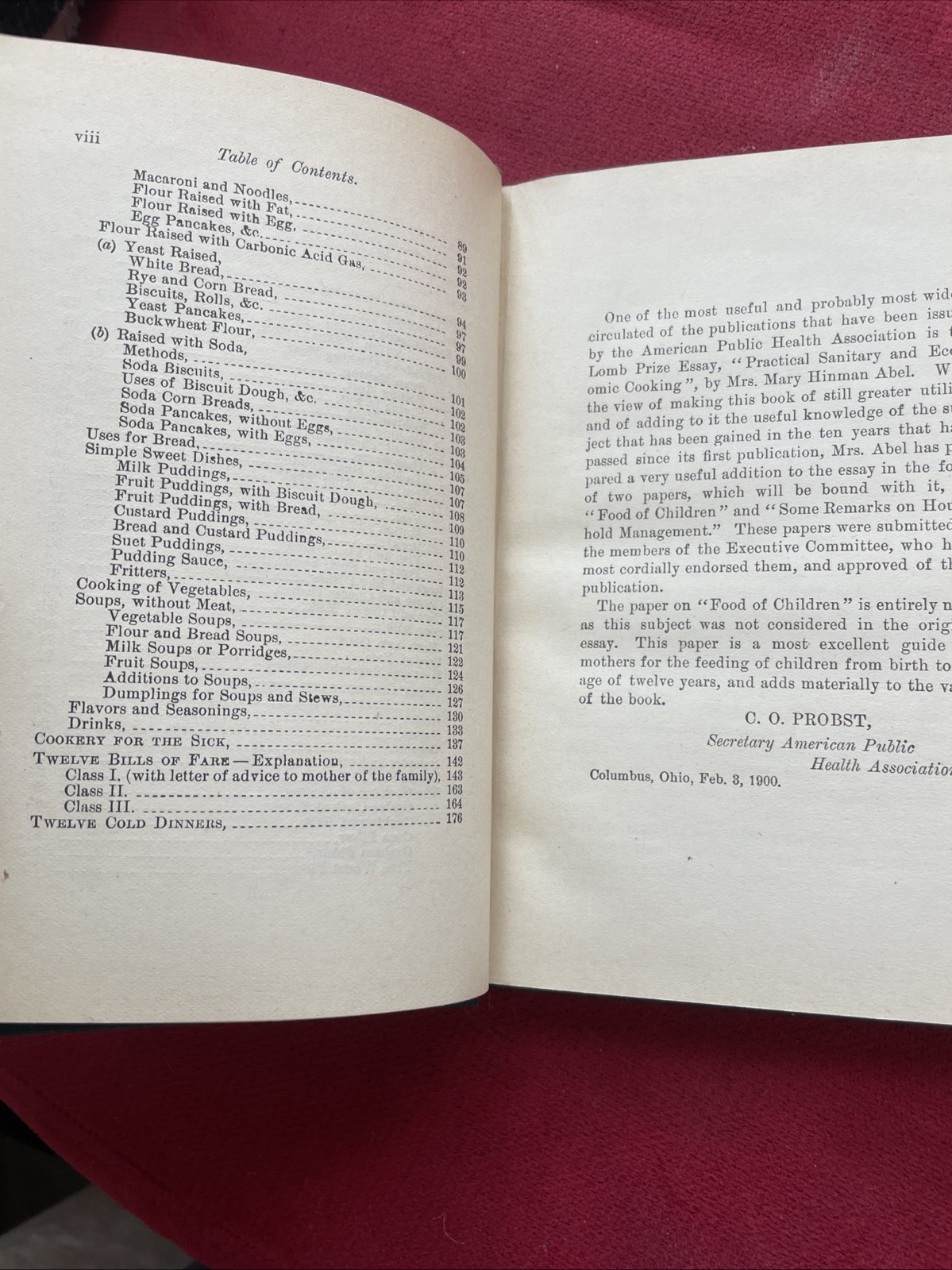 Practical Sanitary and Economic Cooking ABEL 1890 1st Ed Nutrition RARE ORIG