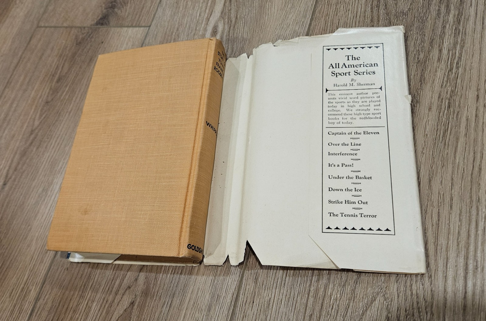 Young Franklin Roosevelt by Wayne Whipple HC DJ Goldsmith Publishing Co 1934