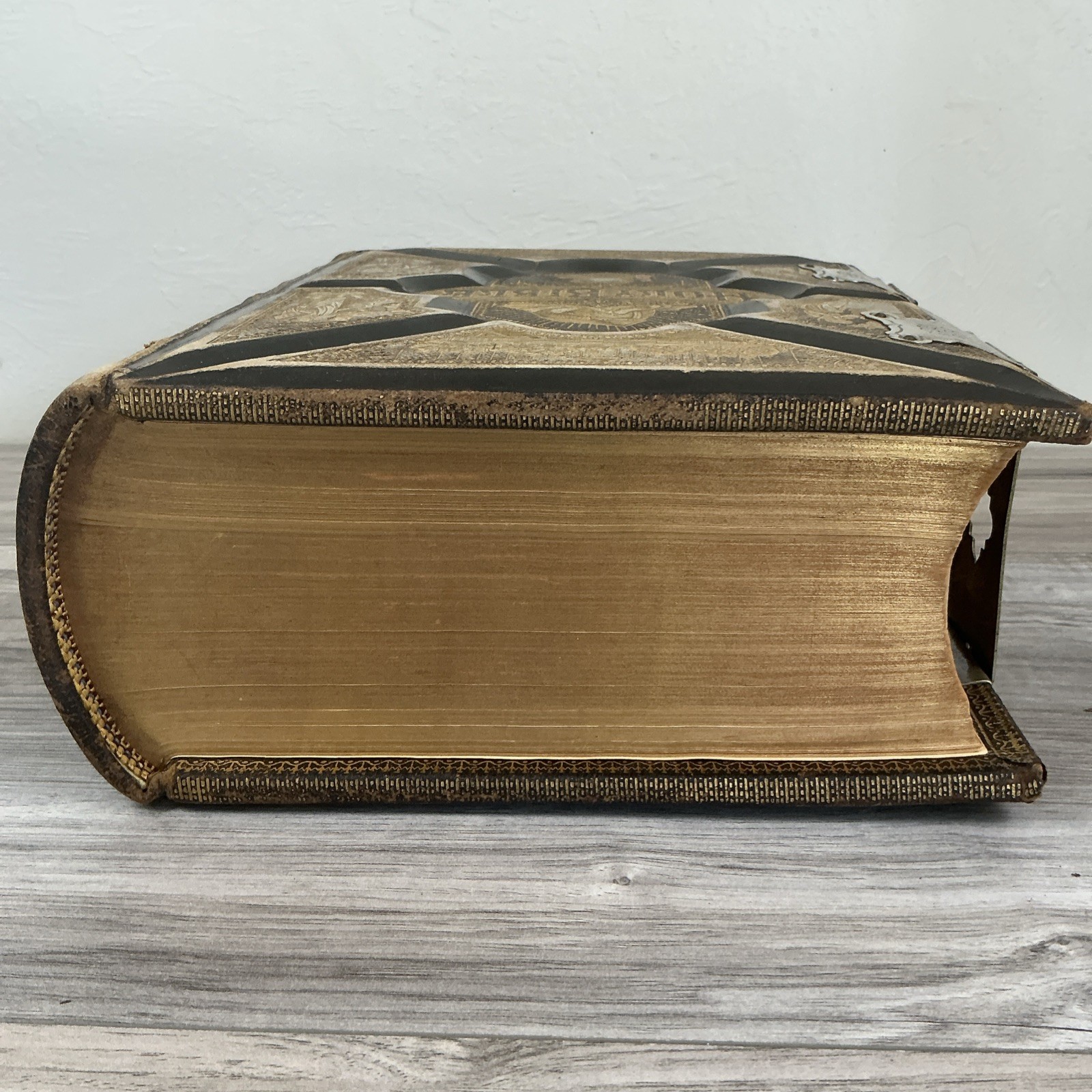 The Parallel Bible Old & New Testaments 2000 Illustrations 1885