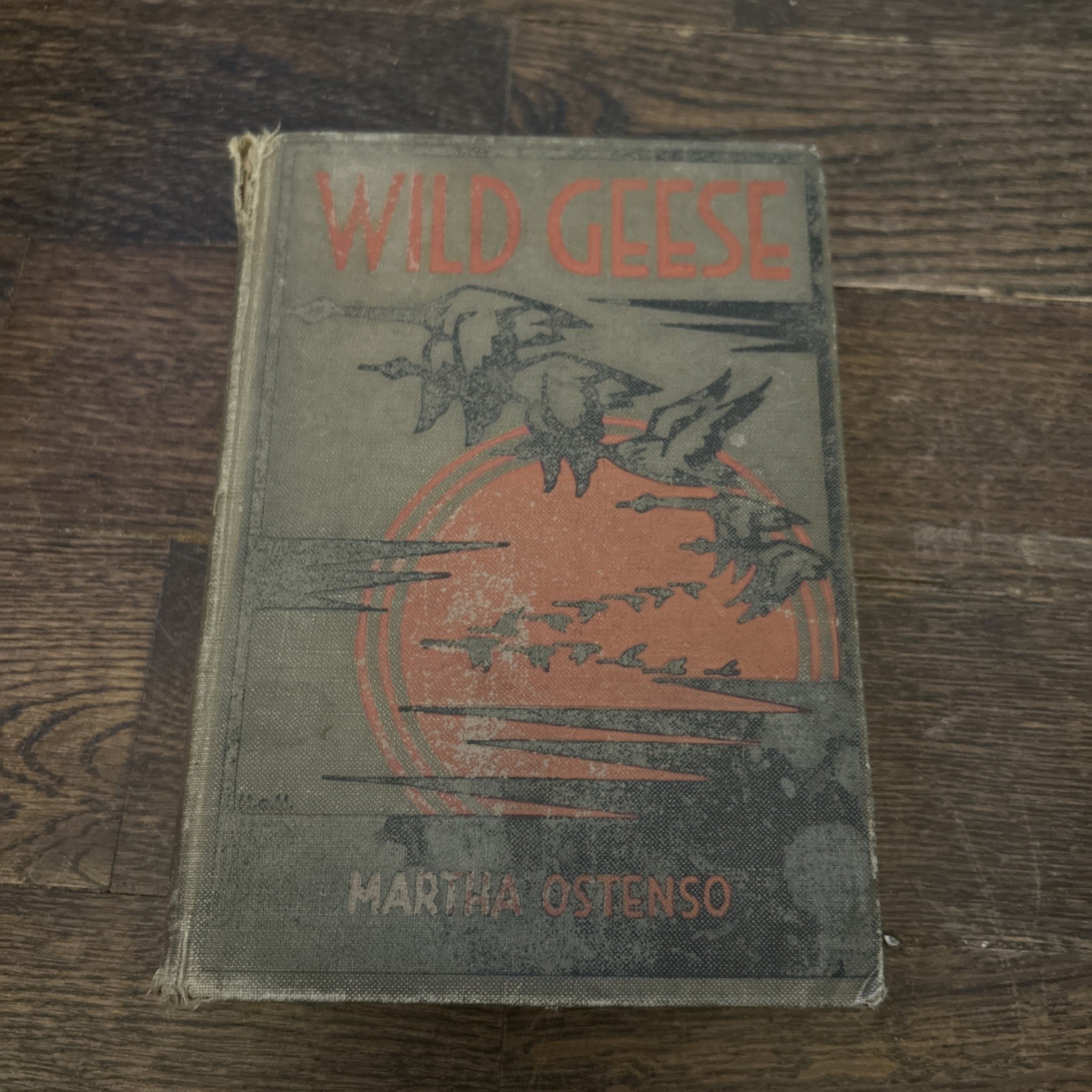 1925 1st edition 2nd printing HC WILD GEESE Martha Ostenso Dodd Mead & Co