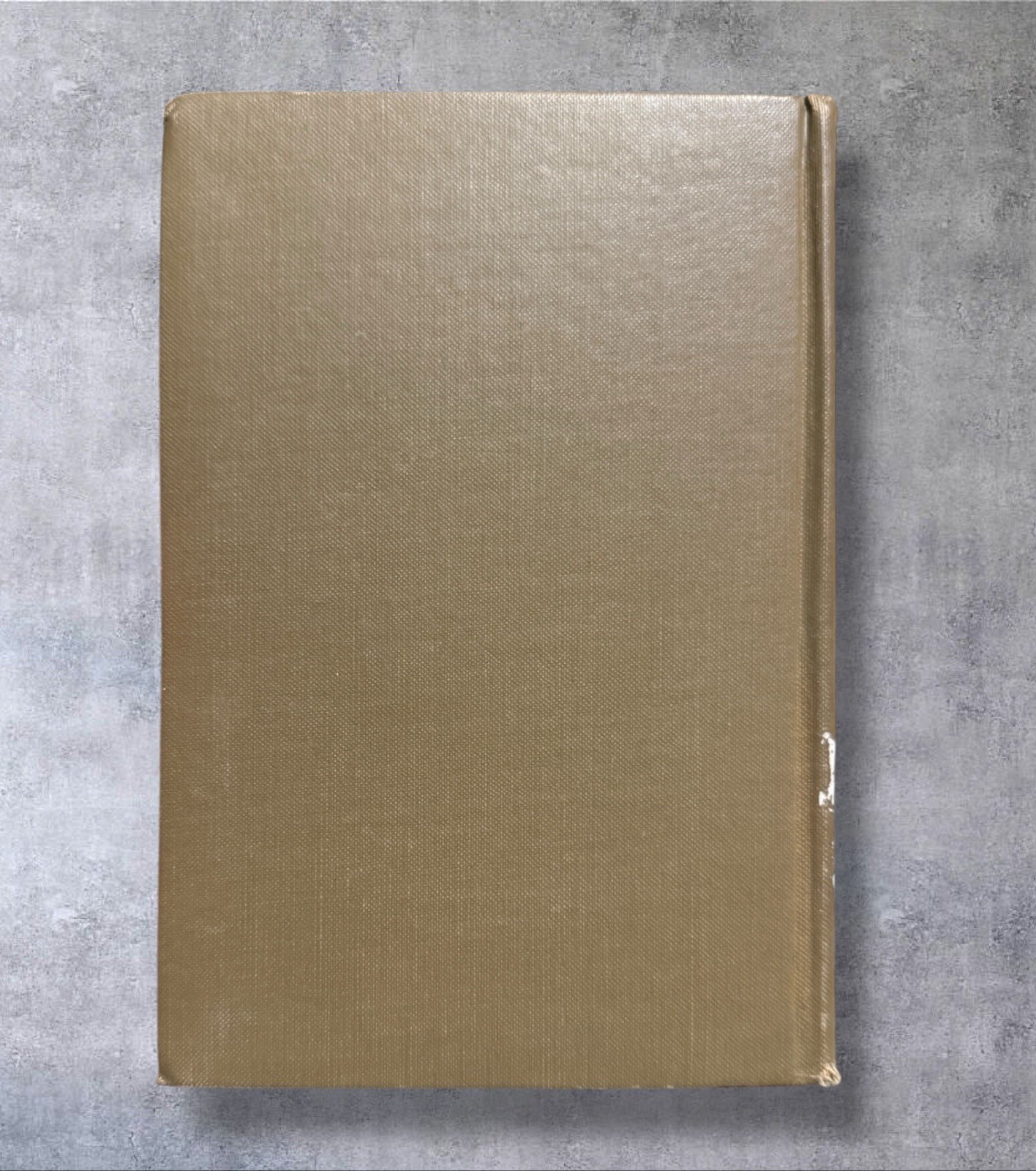 Swimming And Plain Diving Ann Avery Smith 1930 Hardcover Book