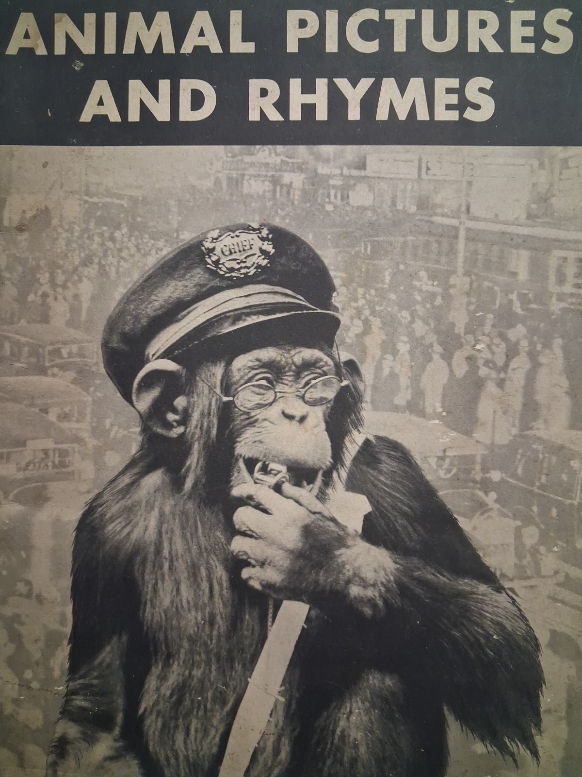 1934 ANIMAL PICTURES AND RHYMES Zoological CHILDREN’S