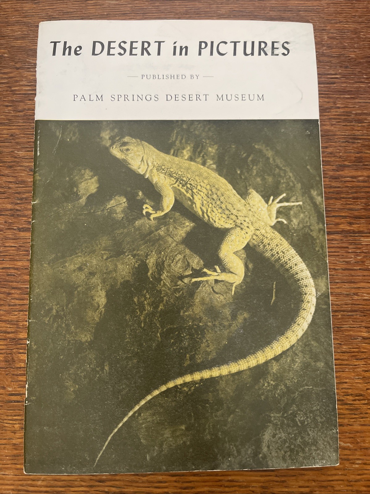 The Desert In Pictures by PALM SPRINGS DESERT MUSEUM Vintage Book