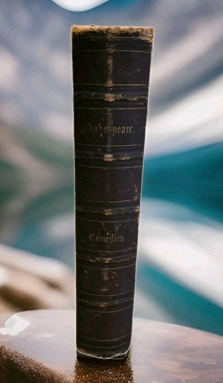 ANTIQUE 1850s Shakespeare COMEDIES Leather Bound Ilustrated Johnson Fry NY Iowa