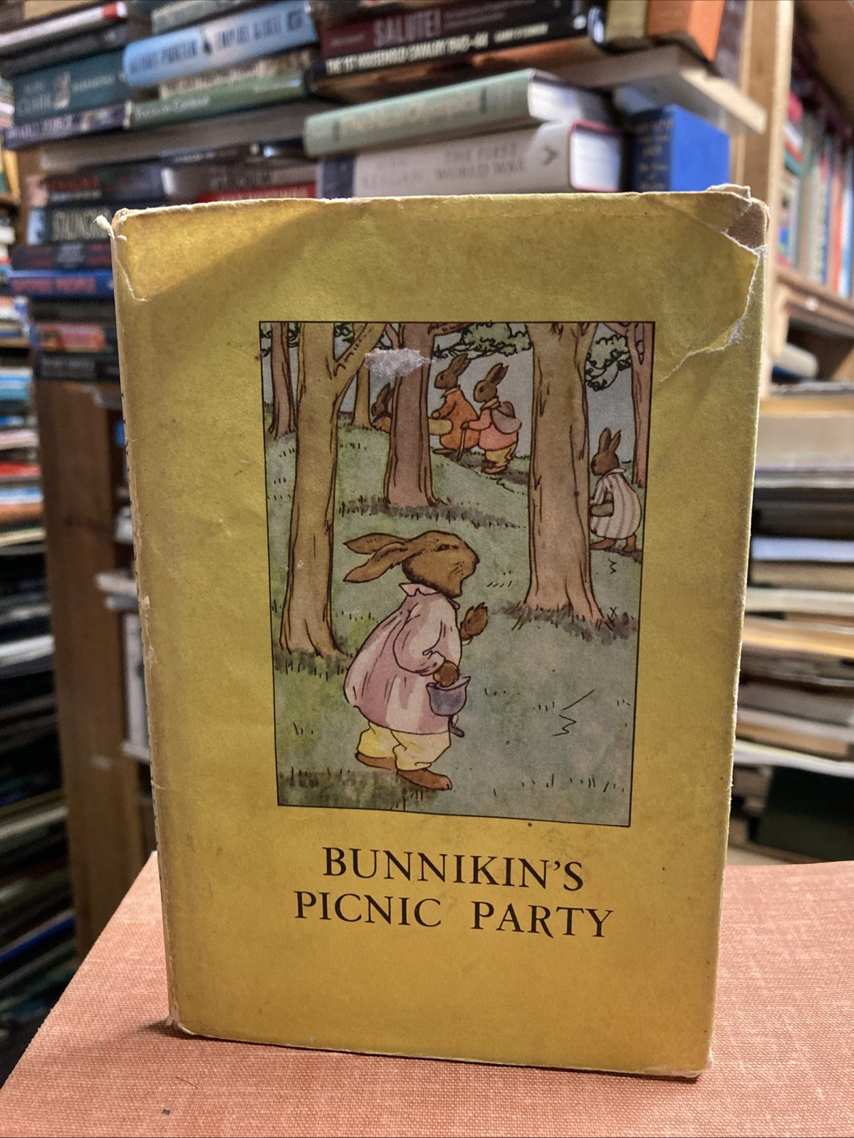 Bunnikin’s Picnic Party A. J. Macgregor Ladybird Book Series 401 circa 1940s HB