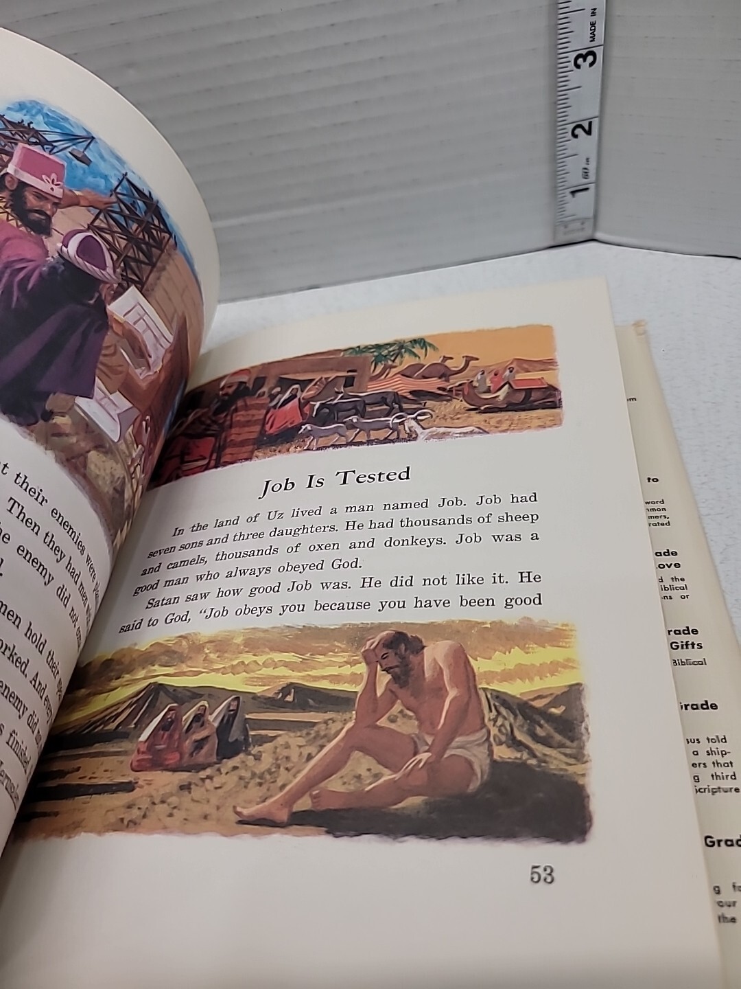 Basic Bible Reader Grade 4 Religious Heroes Ruth Shannon 1963 HC Dust Jacket