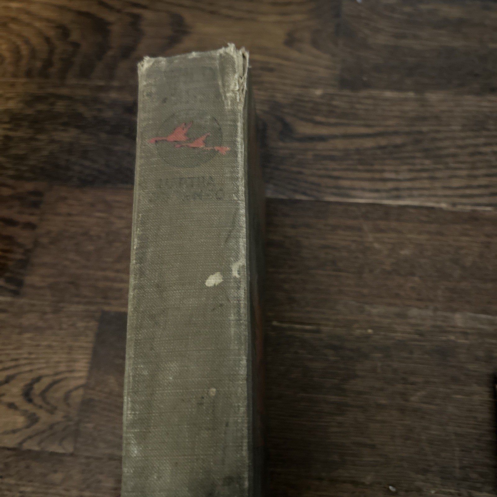 1925 1st edition 2nd printing HC WILD GEESE Martha Ostenso Dodd Mead & Co