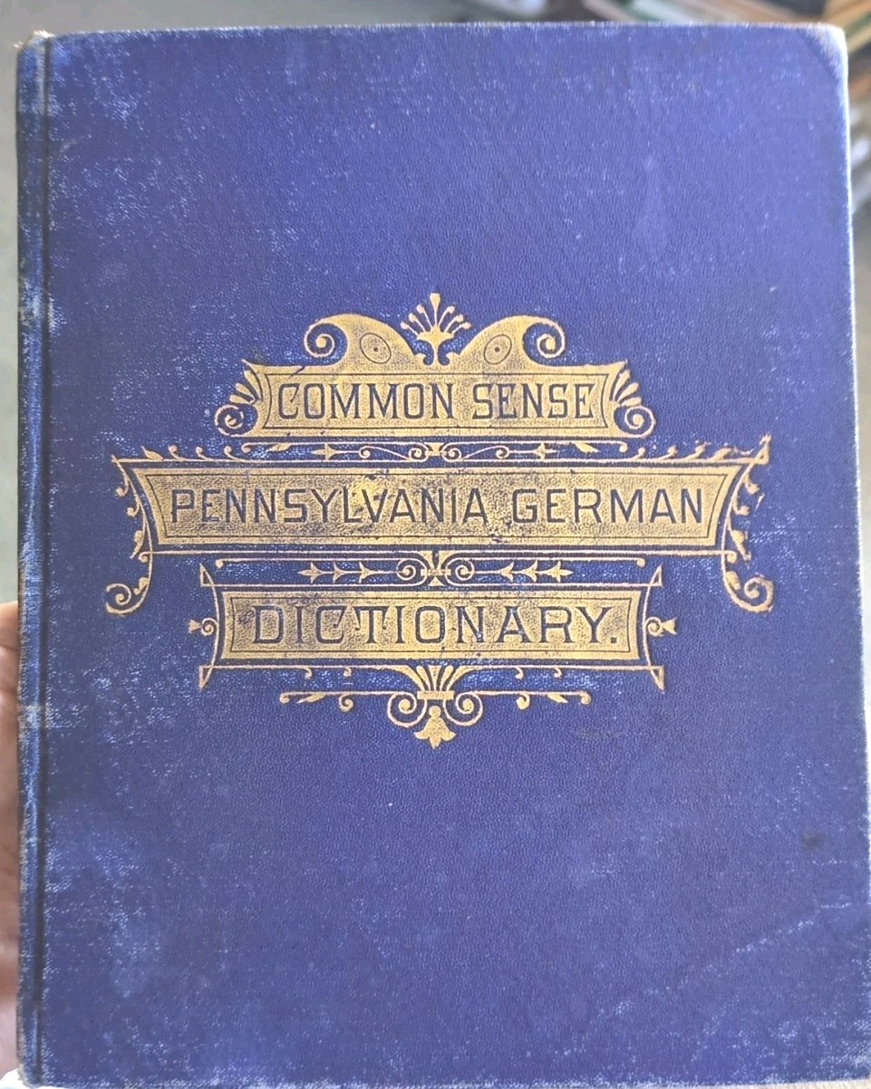1887 COMMON SENSE PENNSYLVANIA GERMAN DICTIONARY PUBLISHED BY J.C.LINS KEMPTON,