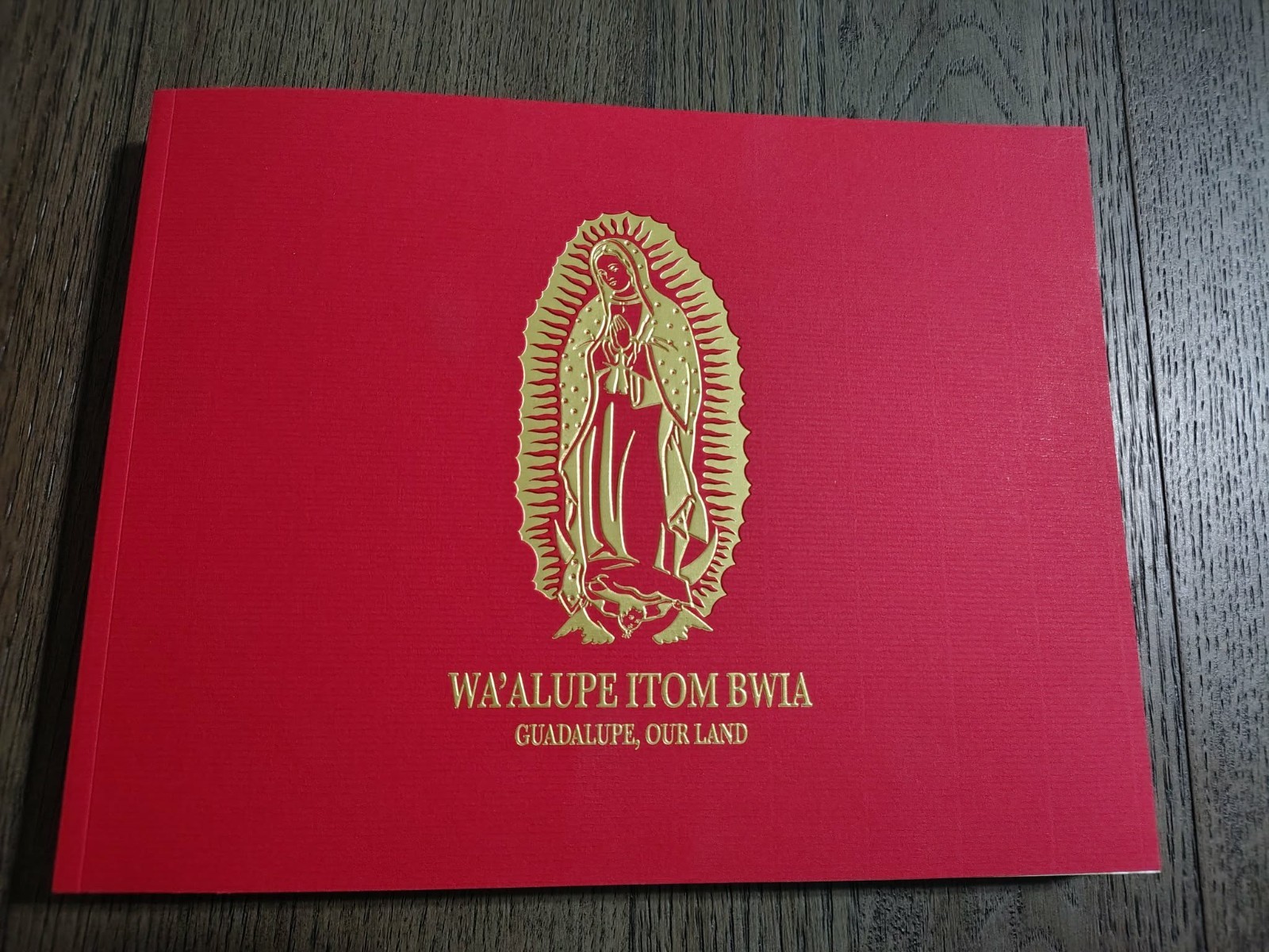 PASCUA YAQUI TRIBE WA’ALUPE ITOM Book GUADALUPE OUR LAND ARIZONA HISTORY Rare