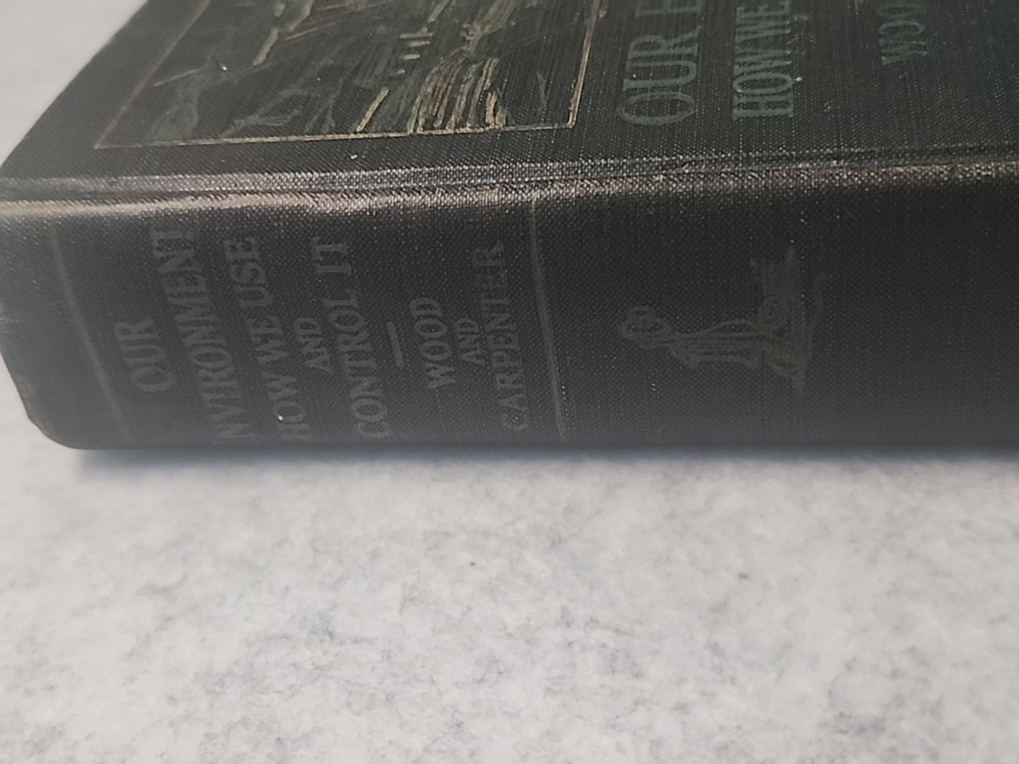 Our Environment: How We Use & Control It Wood & Carpenter 1927 1st Ed HC Antique