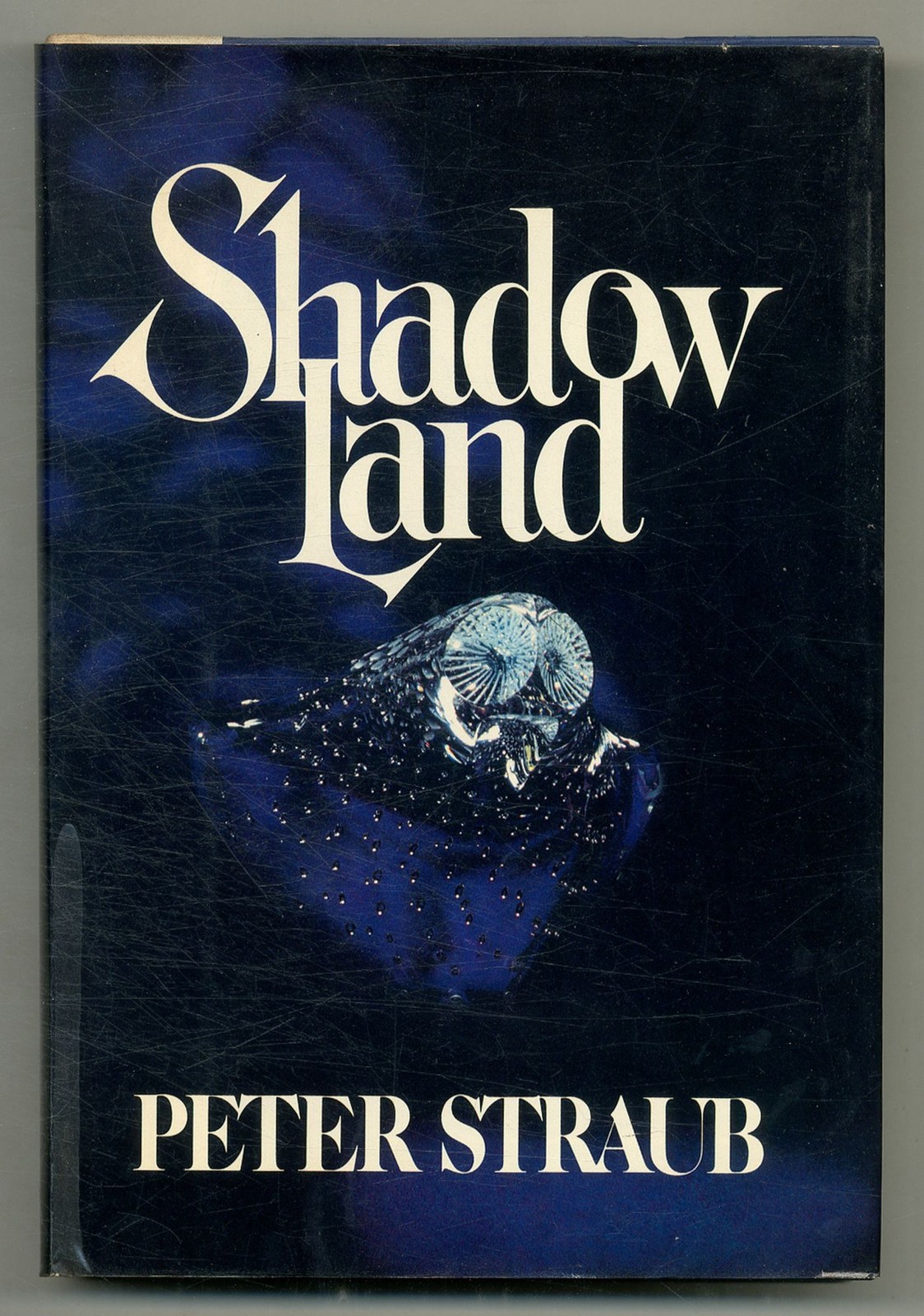 Peter STRAUB / Shadow Land 1st Edition 1980