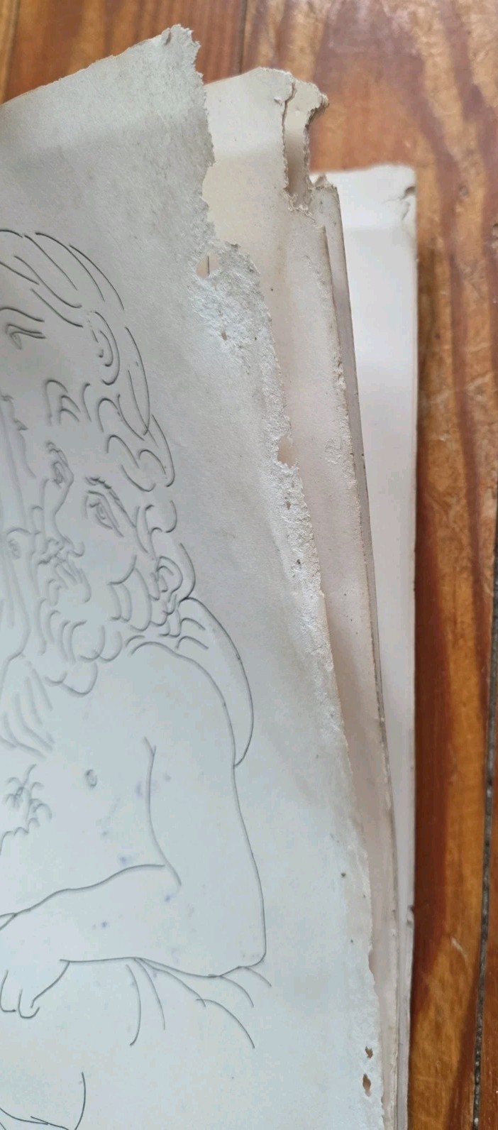 The Sculptor Studio Etchings By Picasso Book