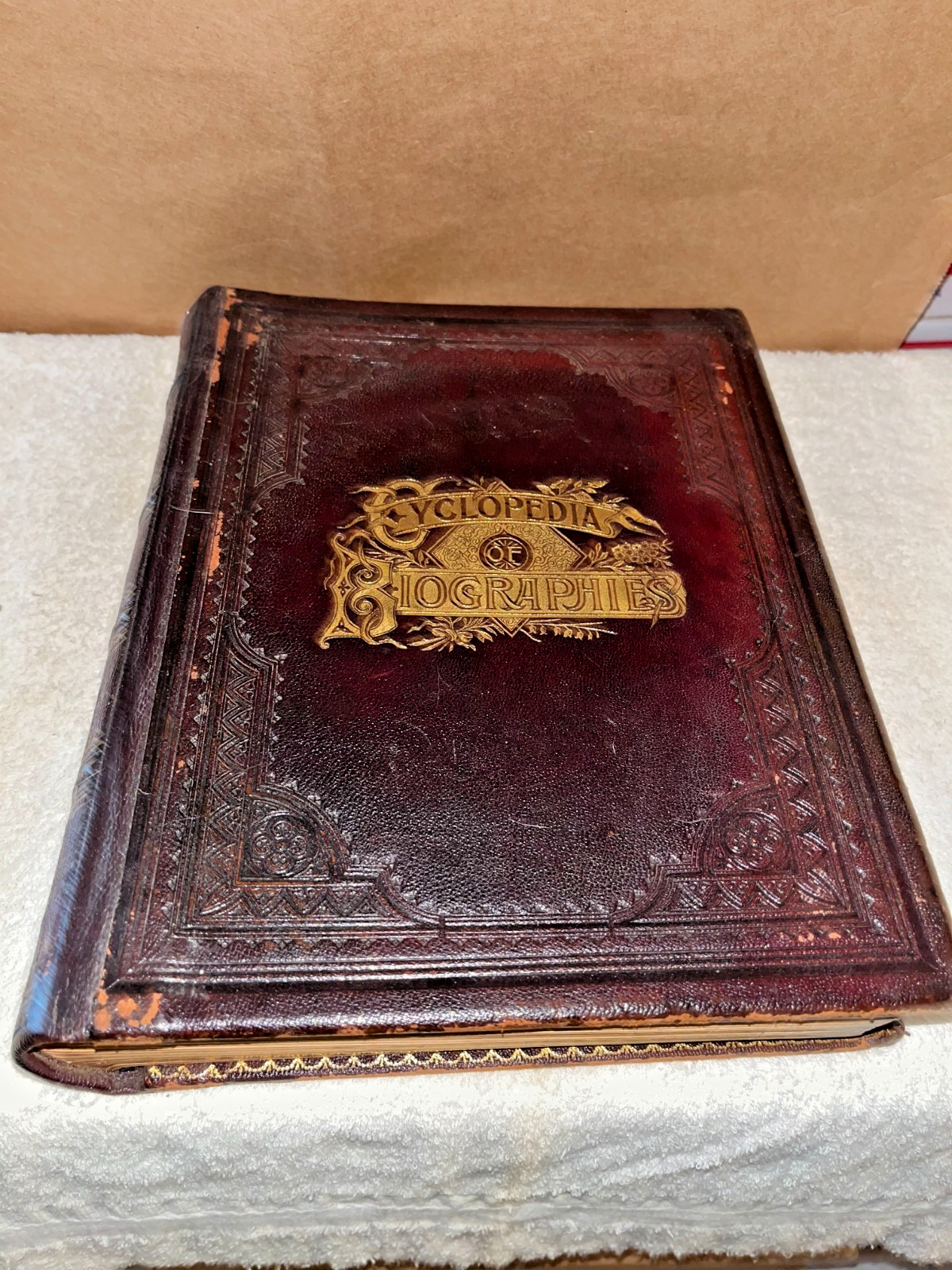 1891 1st Ed Biographical & Portrait Cyclopedia of Chautauqua County New York