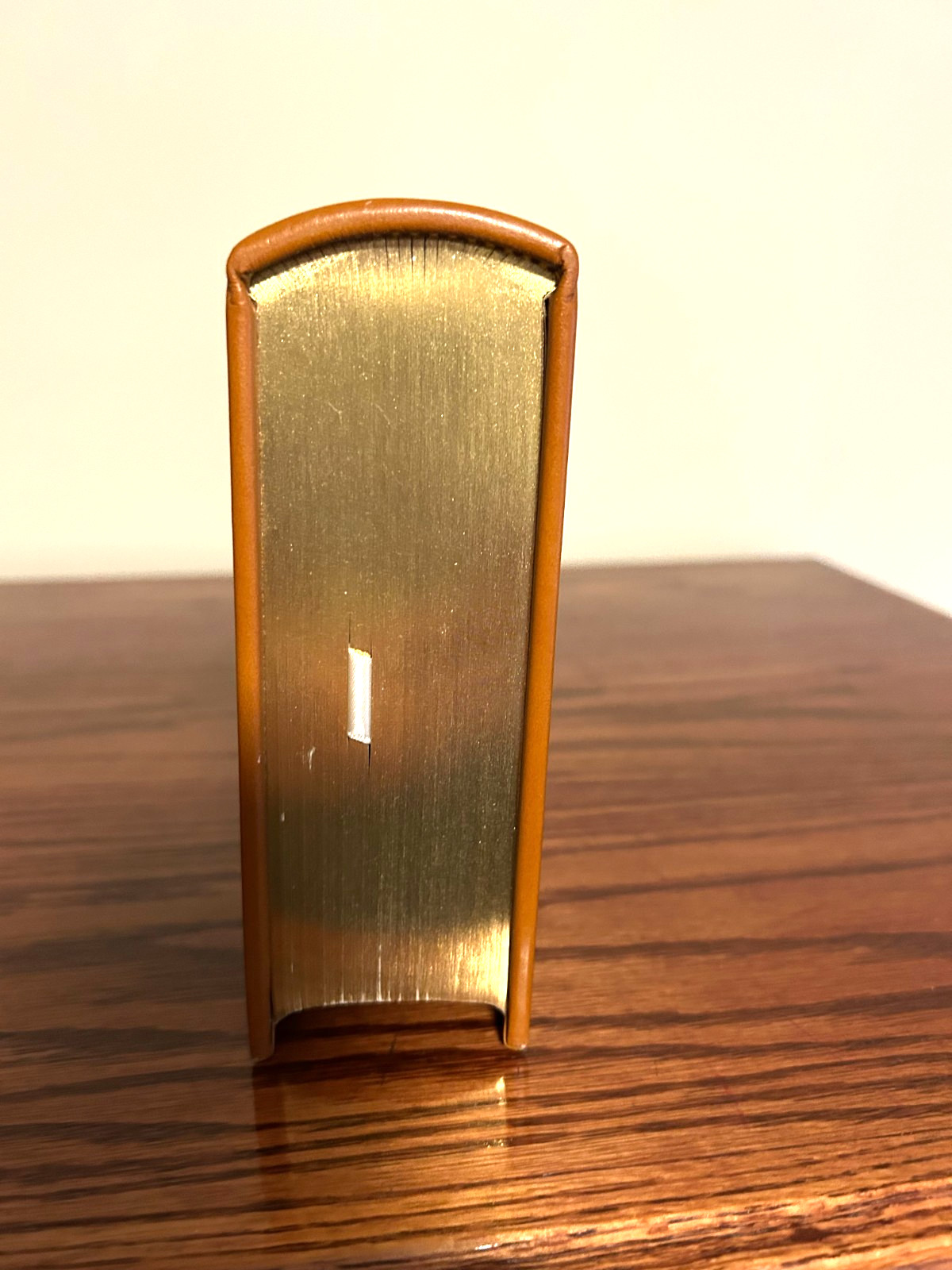 Gryphon Editions Leather The Works of Thomas Syndenham, MD